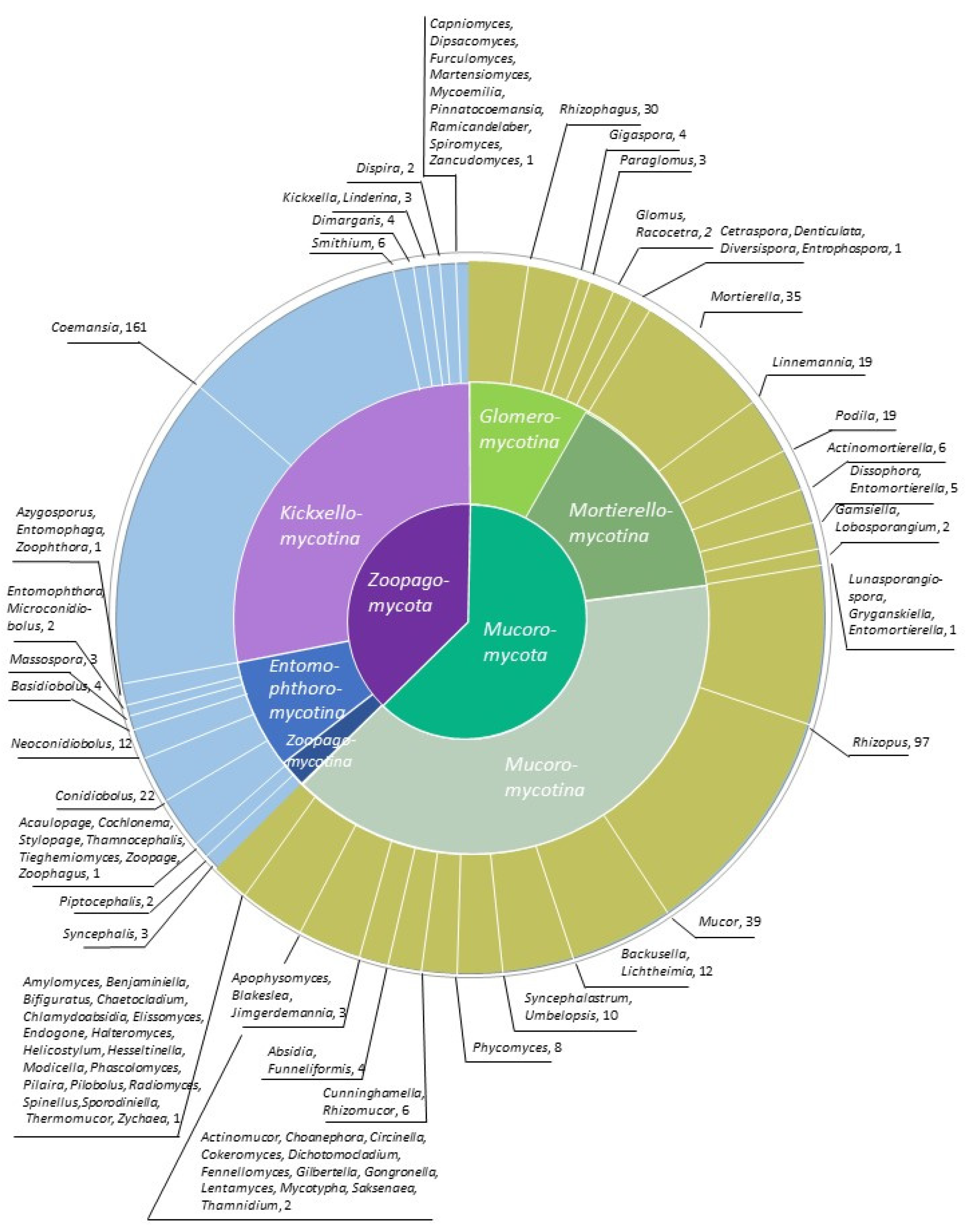 Mycorrhizas across scales: a journey between genomics, global