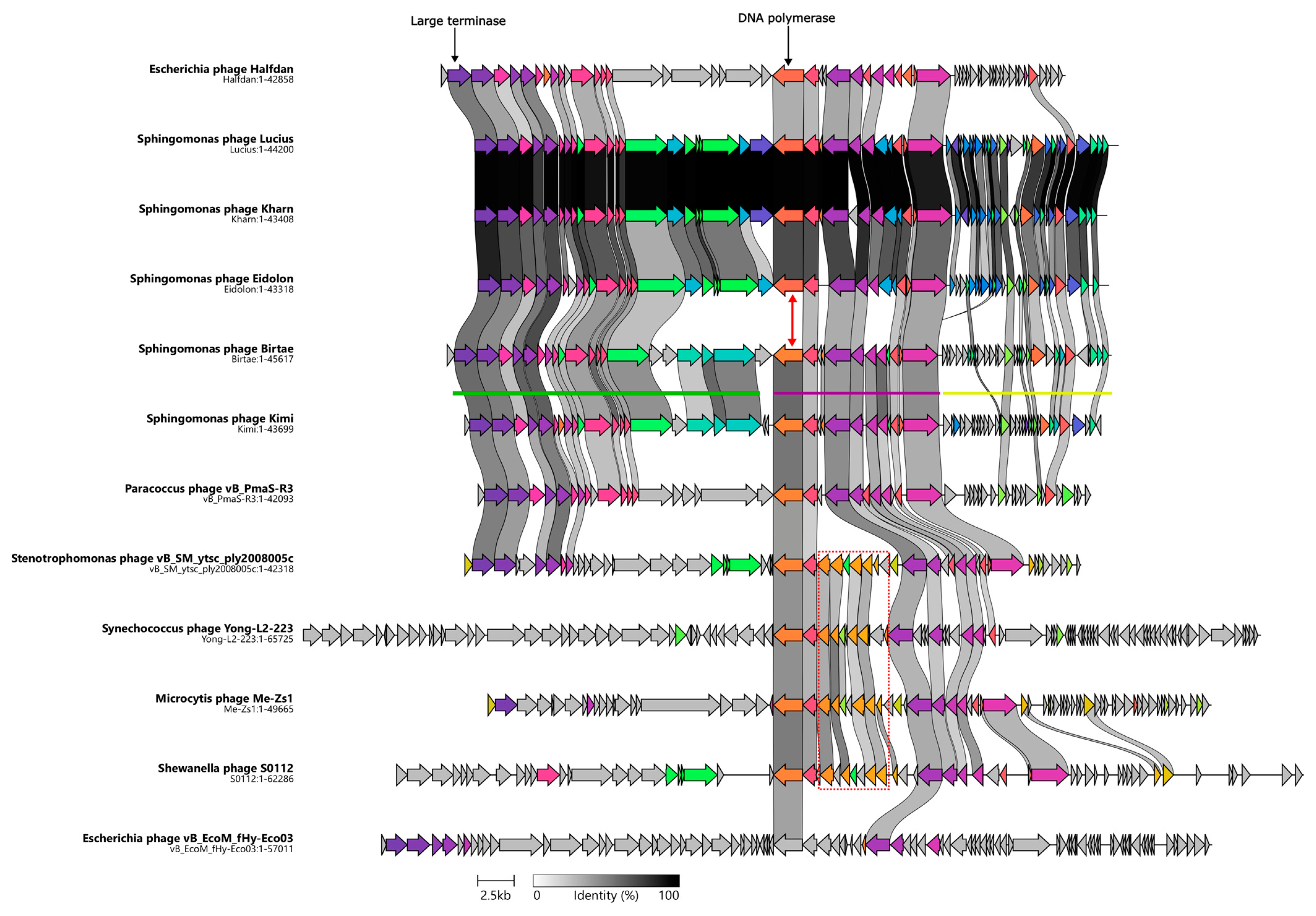 Microorganisms 11 01831 g002 Microorganisms 11 01831 g002