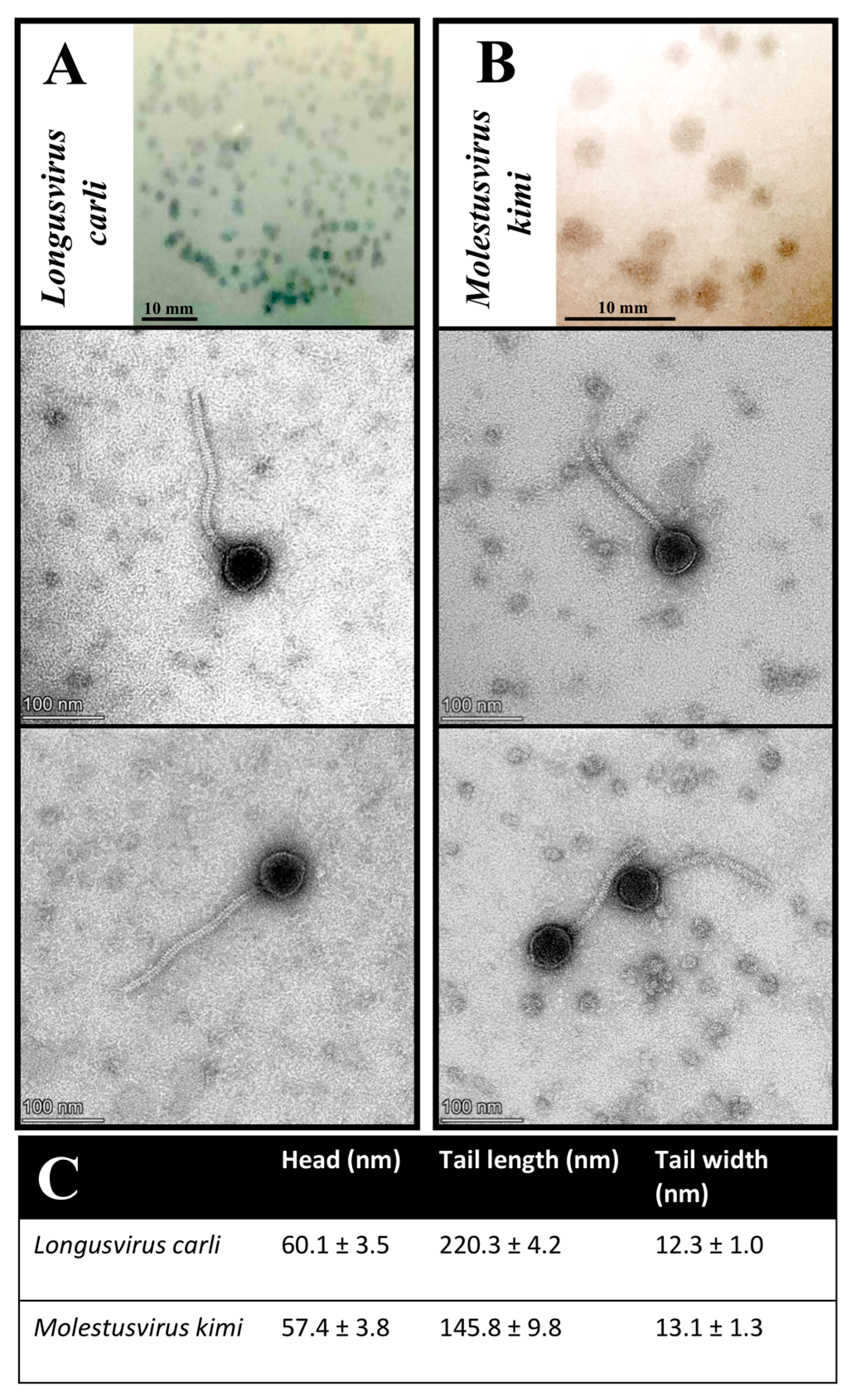 Microorganisms 11 01831 g003 Microorganisms 11 01831 g003
