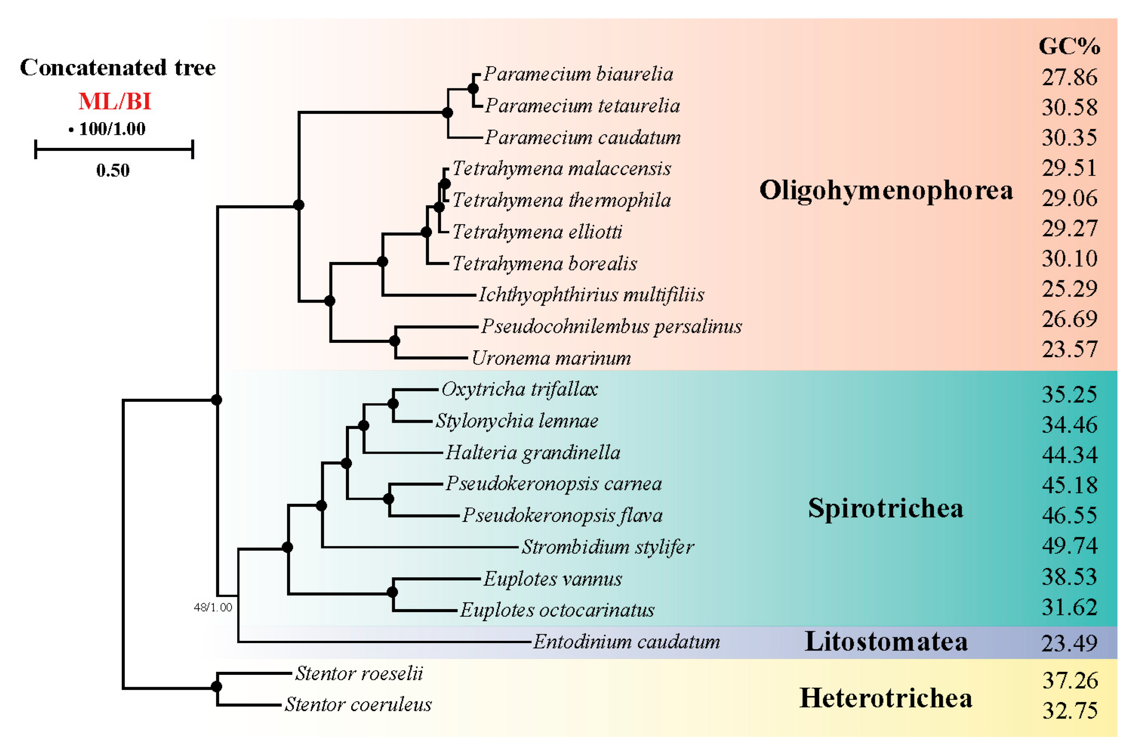 Microorganisms 11 01833 g009 Microorganisms 11 01833 g009