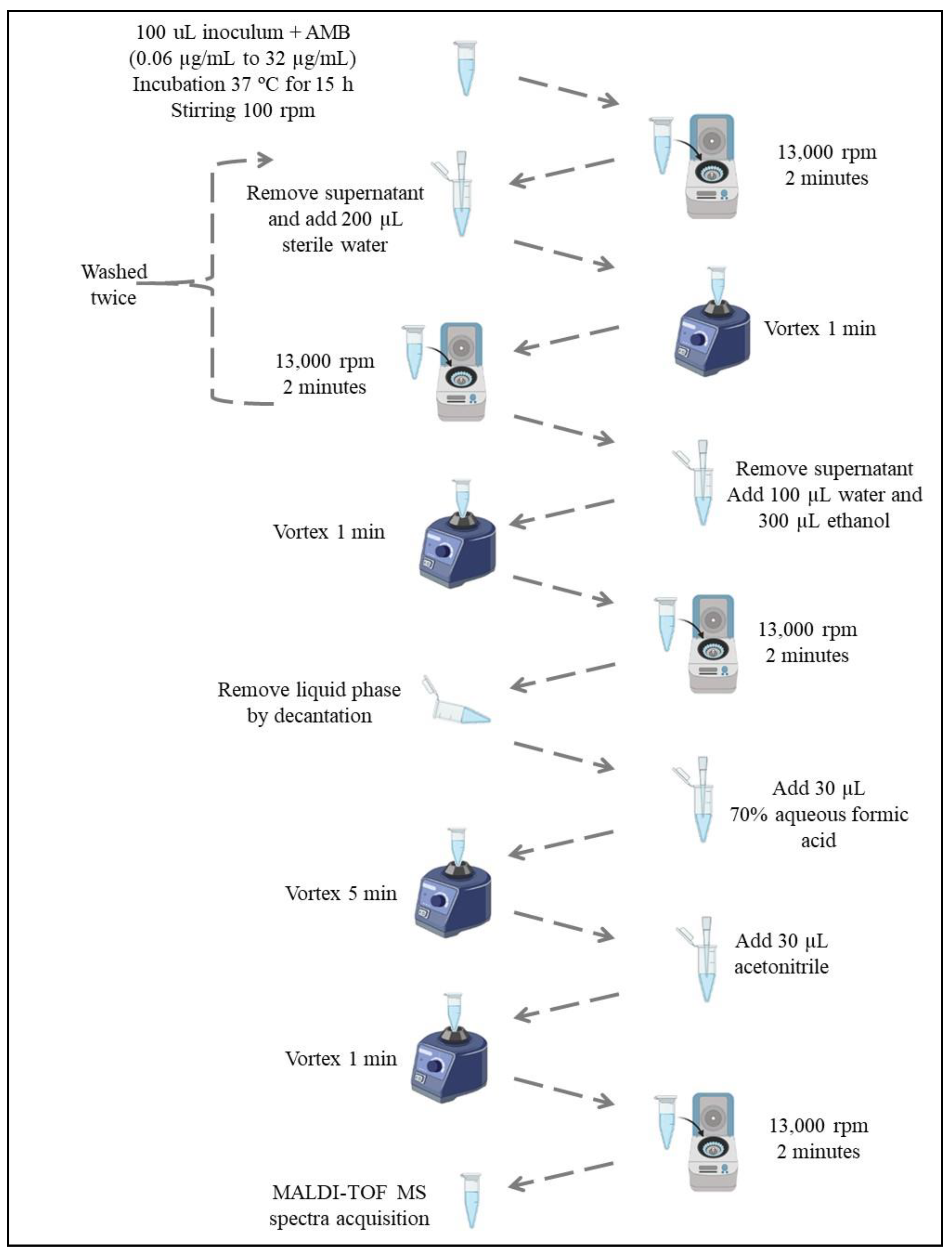 Microorganisms 11 01834 g001 Microorganisms 11 01834 g001