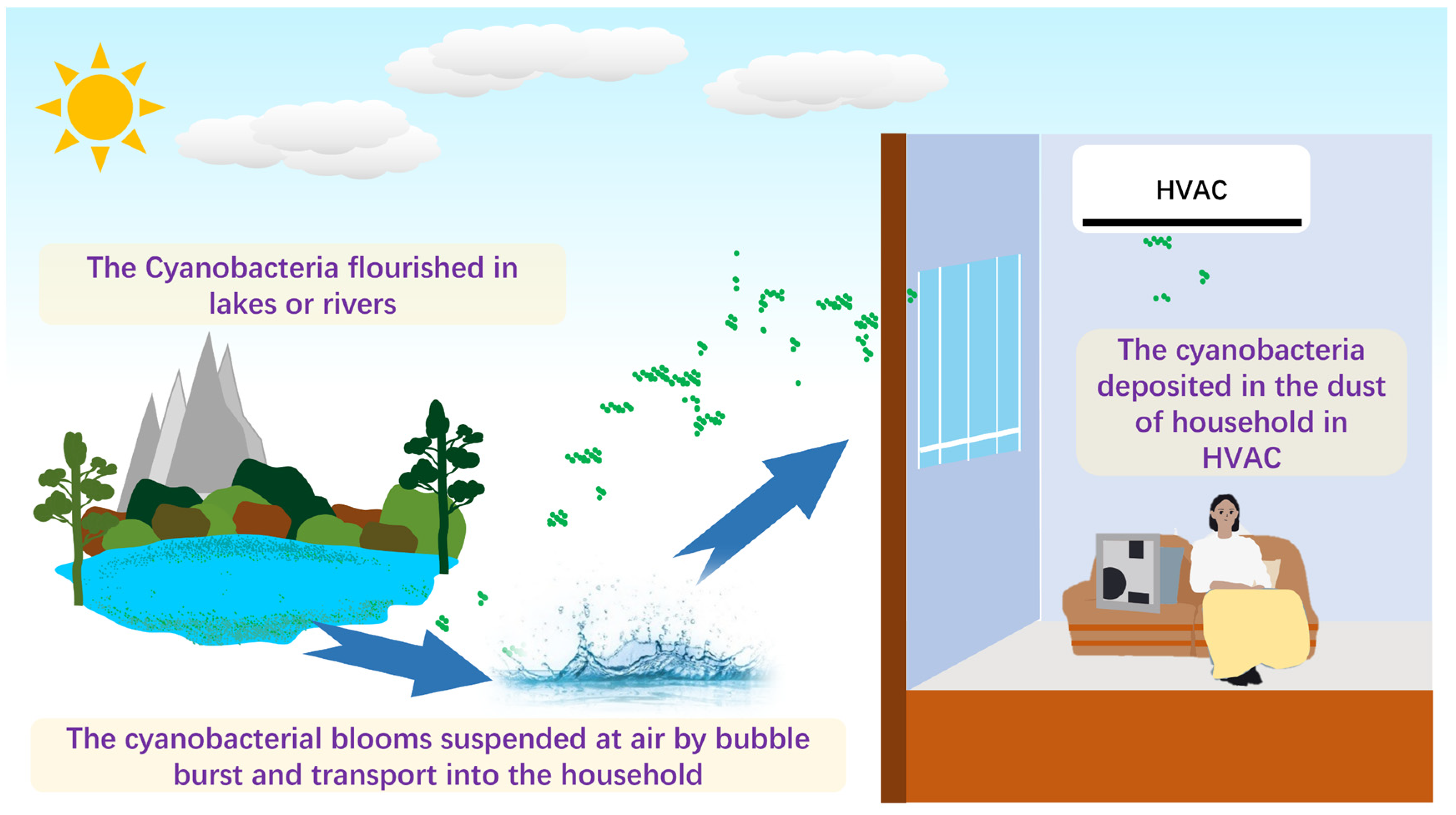 Microorganisms 11 01835 g005