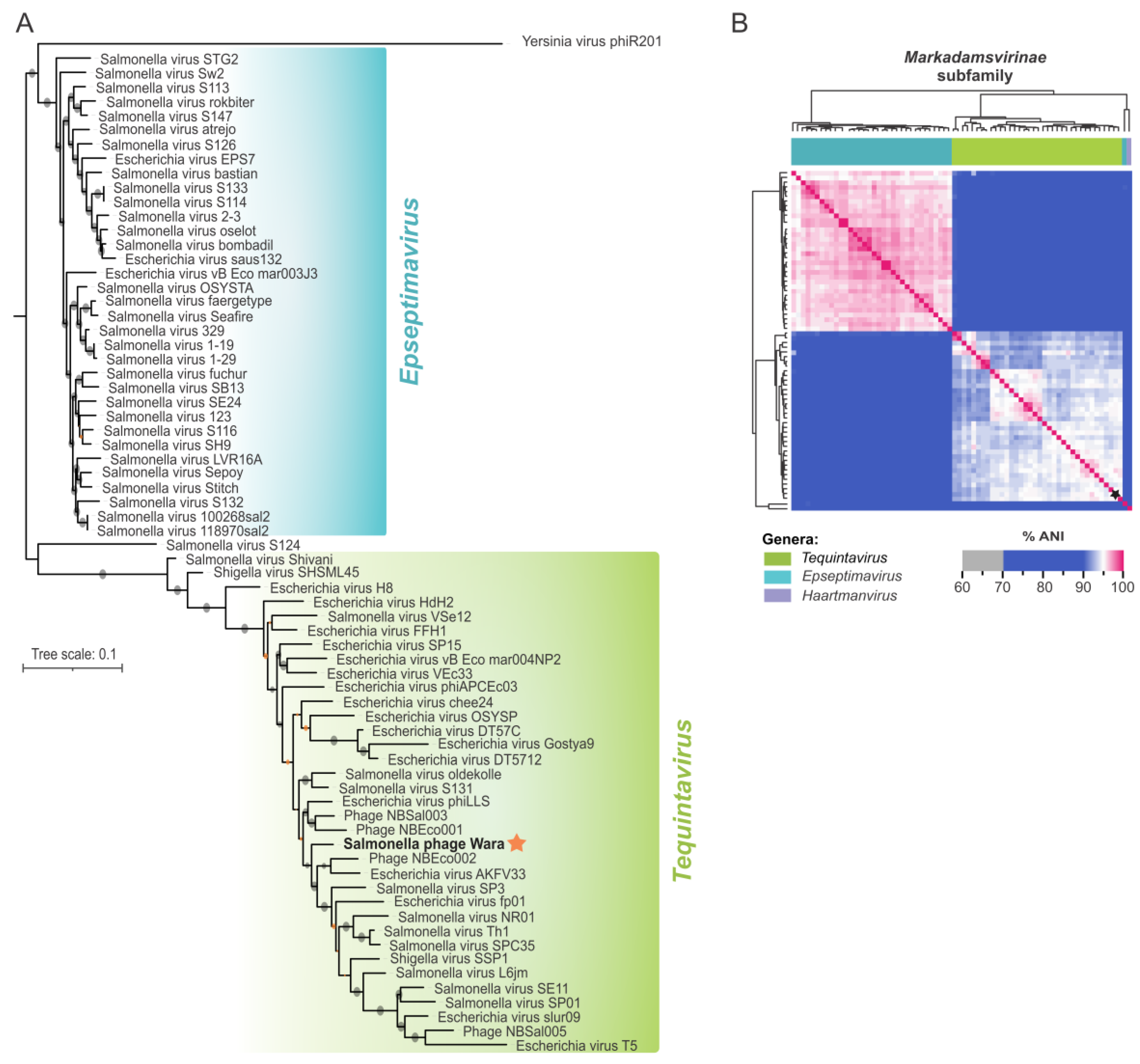 Microorganisms 11 01837 g004 Microorganisms 11 01837 g004
