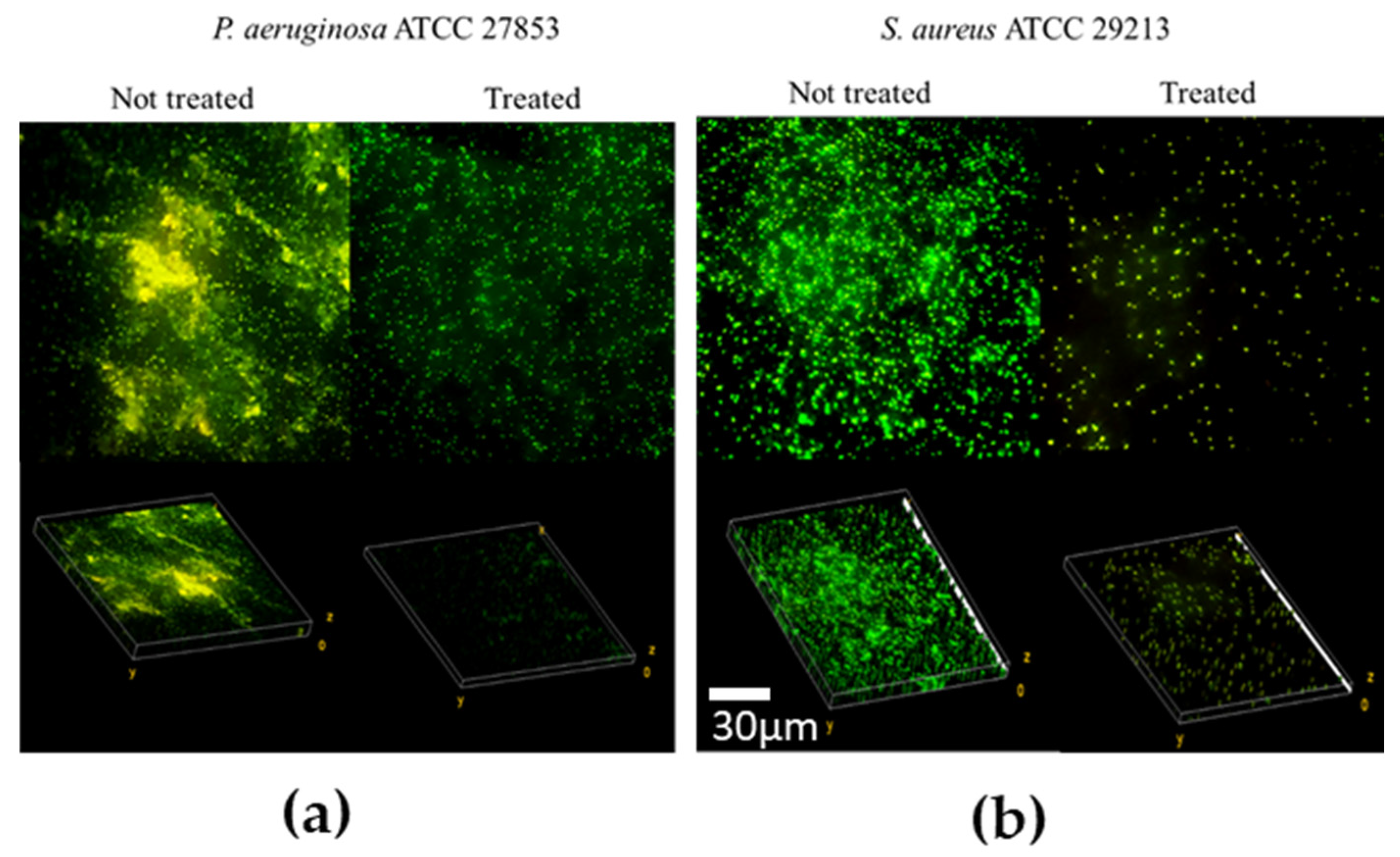 Microorganisms 11 01842 g008 Microorganisms 11 01842 g008