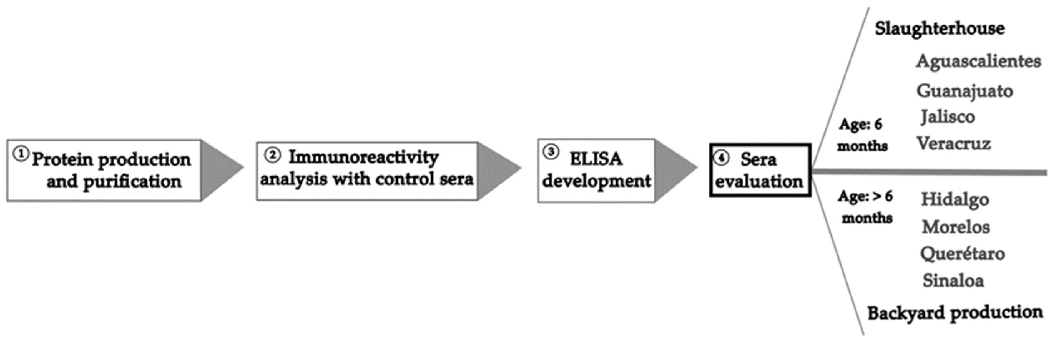 Microorganisms 11 01843 g001 Microorganisms 11 01843 g001
