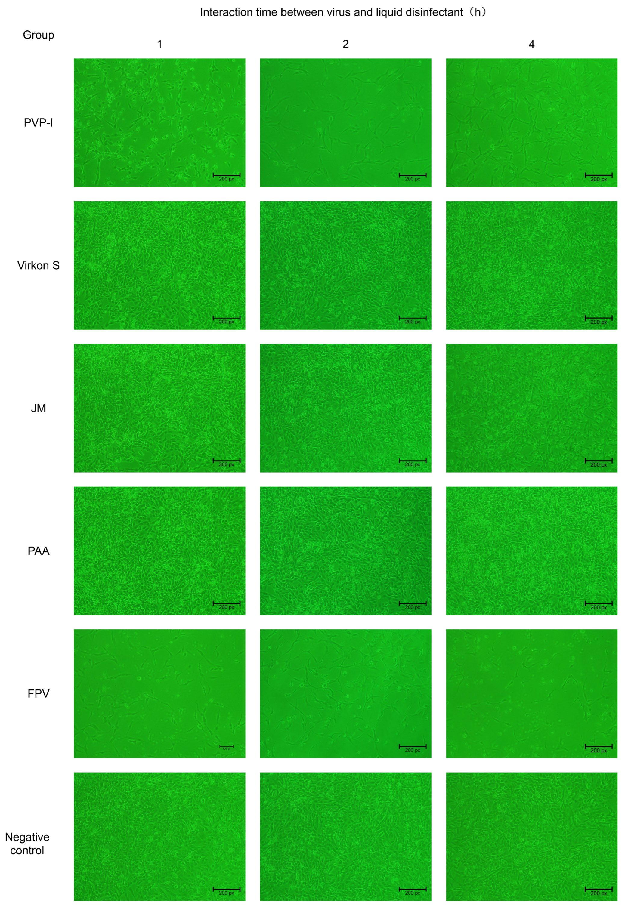 Microorganisms 11 01844 g003 Microorganisms 11 01844 g003