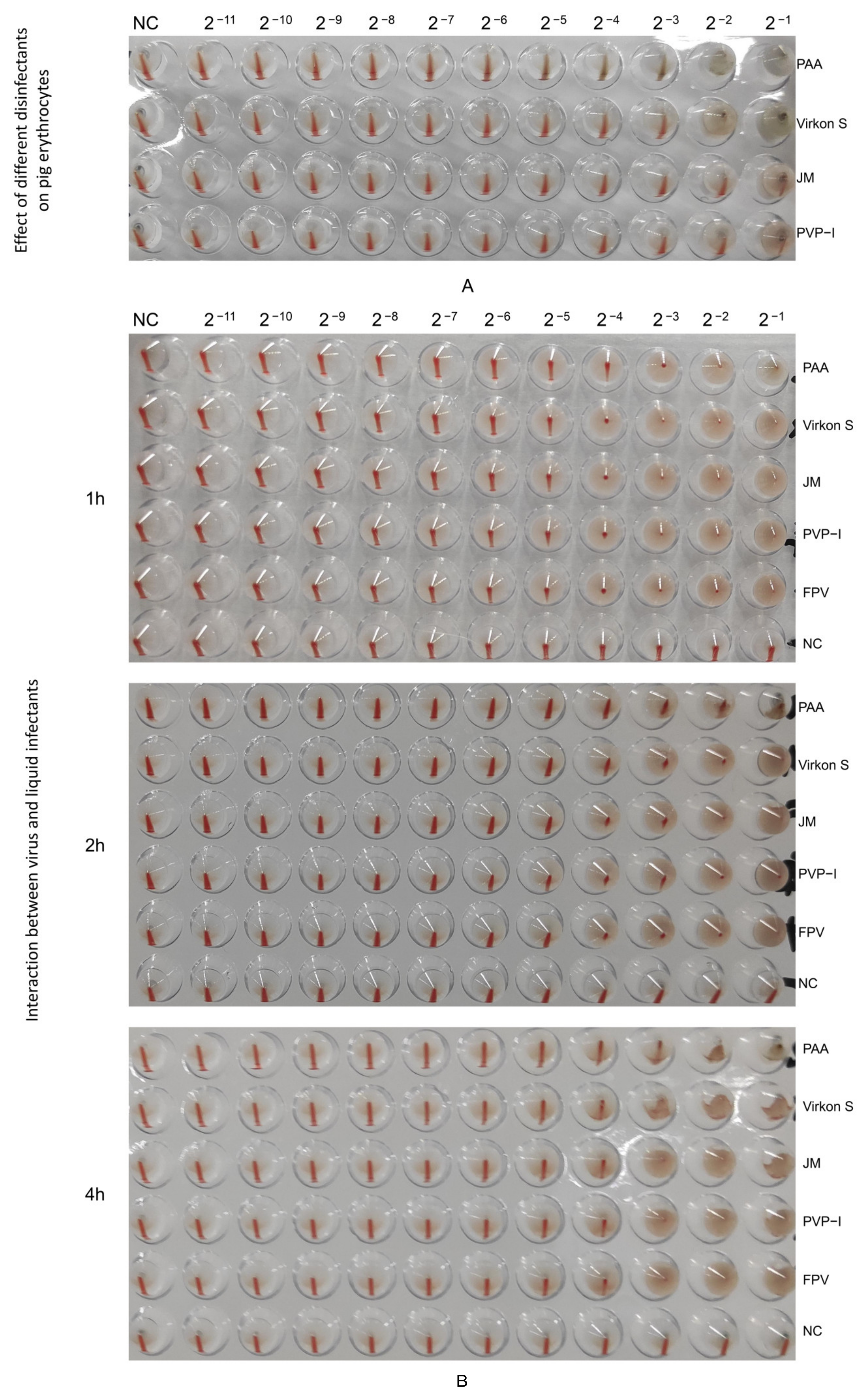 Microorganisms 11 01844 g006 Microorganisms 11 01844 g006