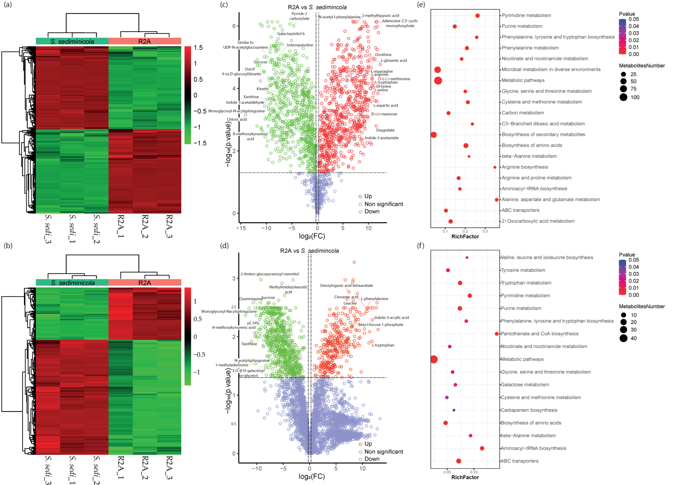 Microorganisms 11 01847 g003