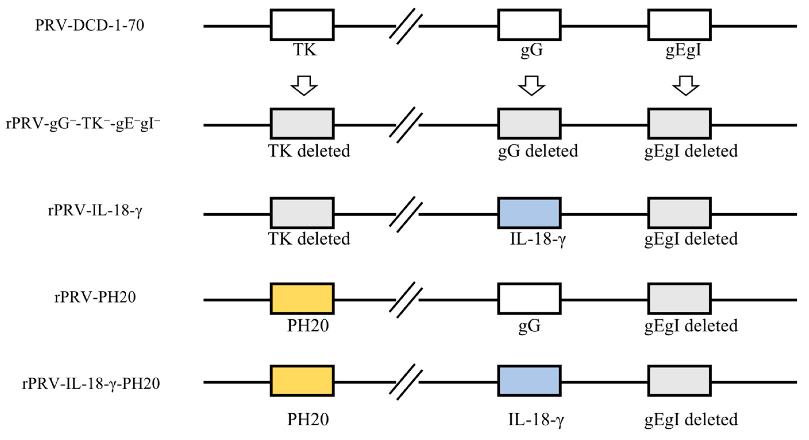 Microorganisms 11 01850 g001