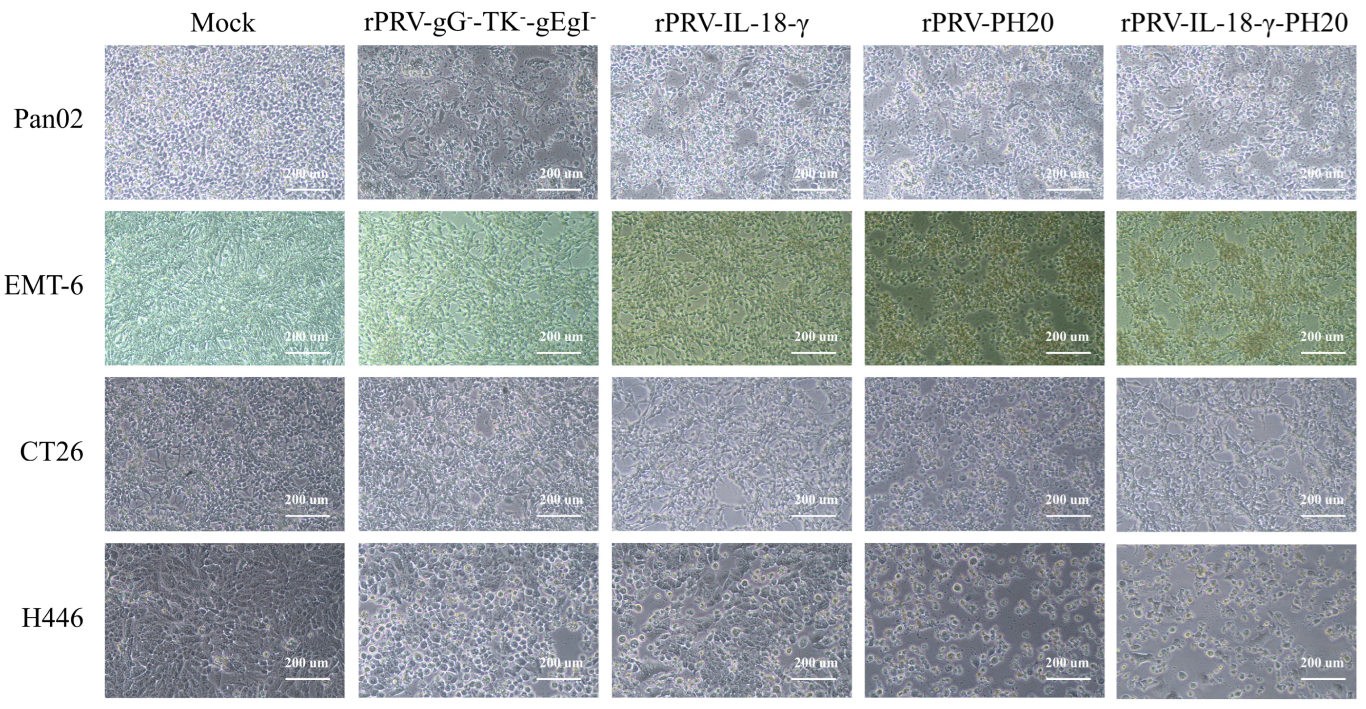 Microorganisms 11 01850 g003