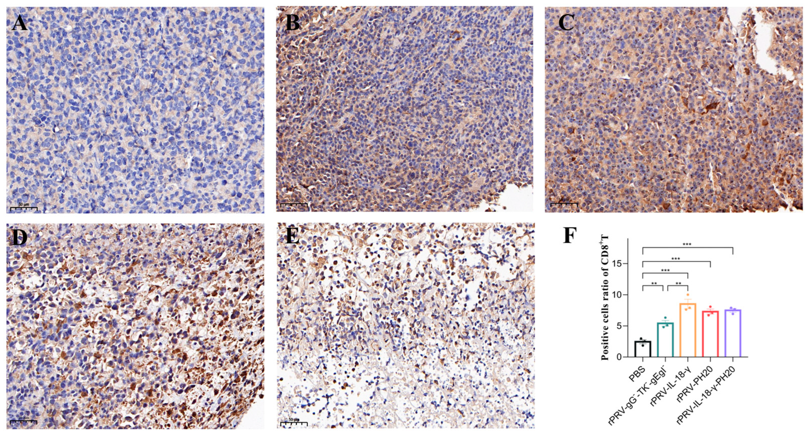 Microorganisms 11 01850 g008