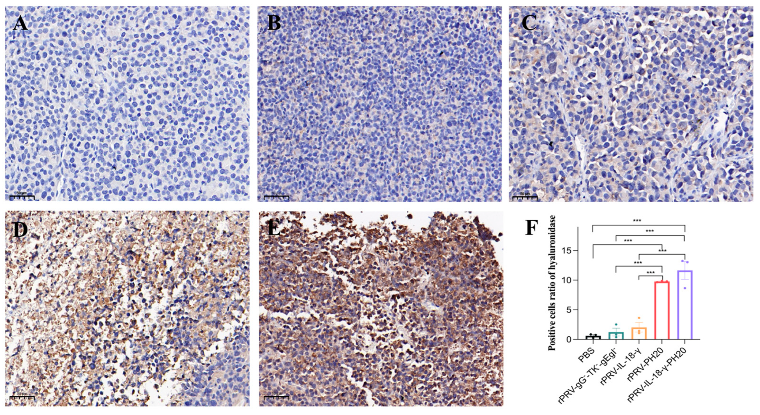 Microorganisms 11 01850 g009