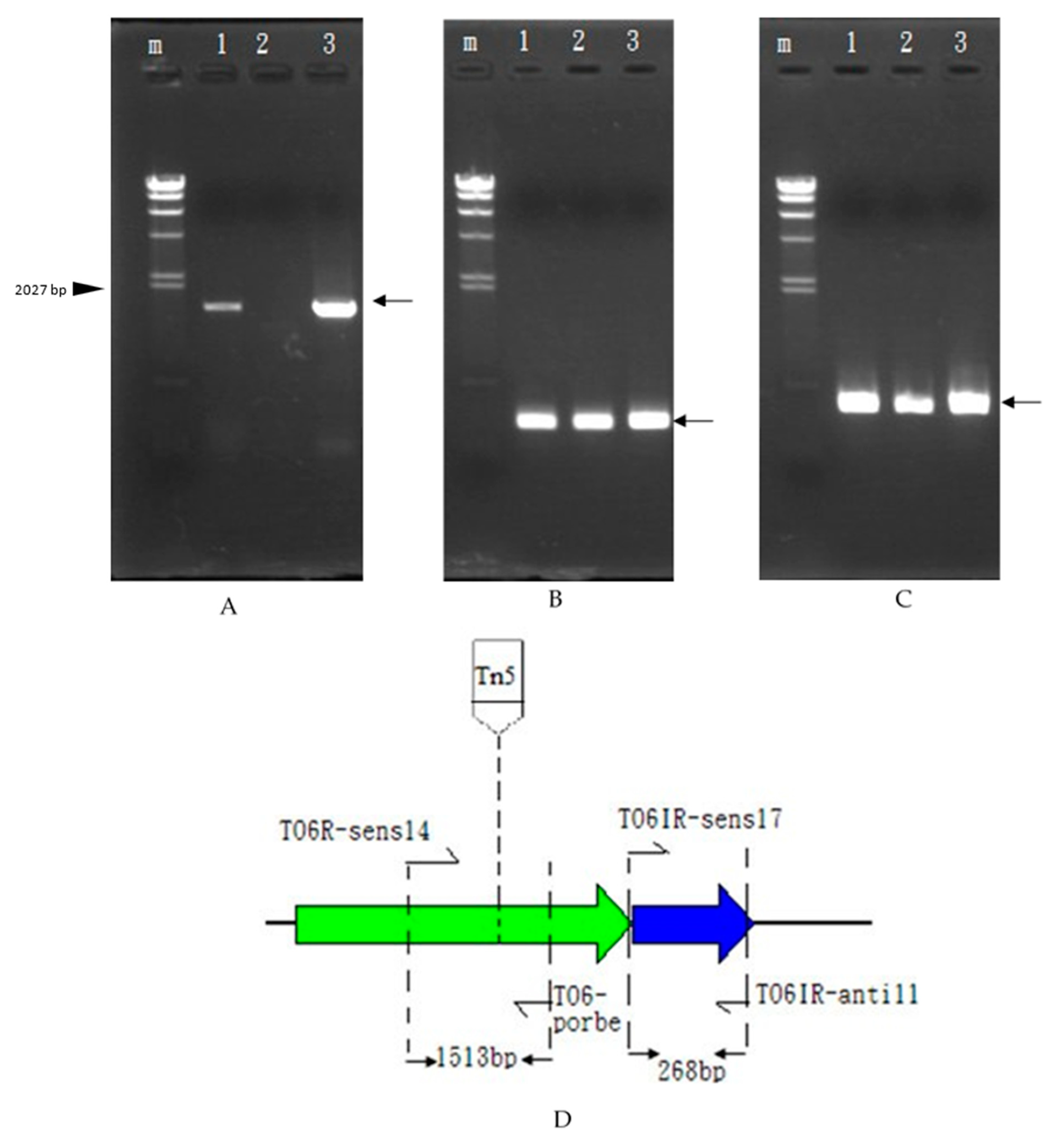 Microorganisms 11 01854 g004 Microorganisms 11 01854 g004