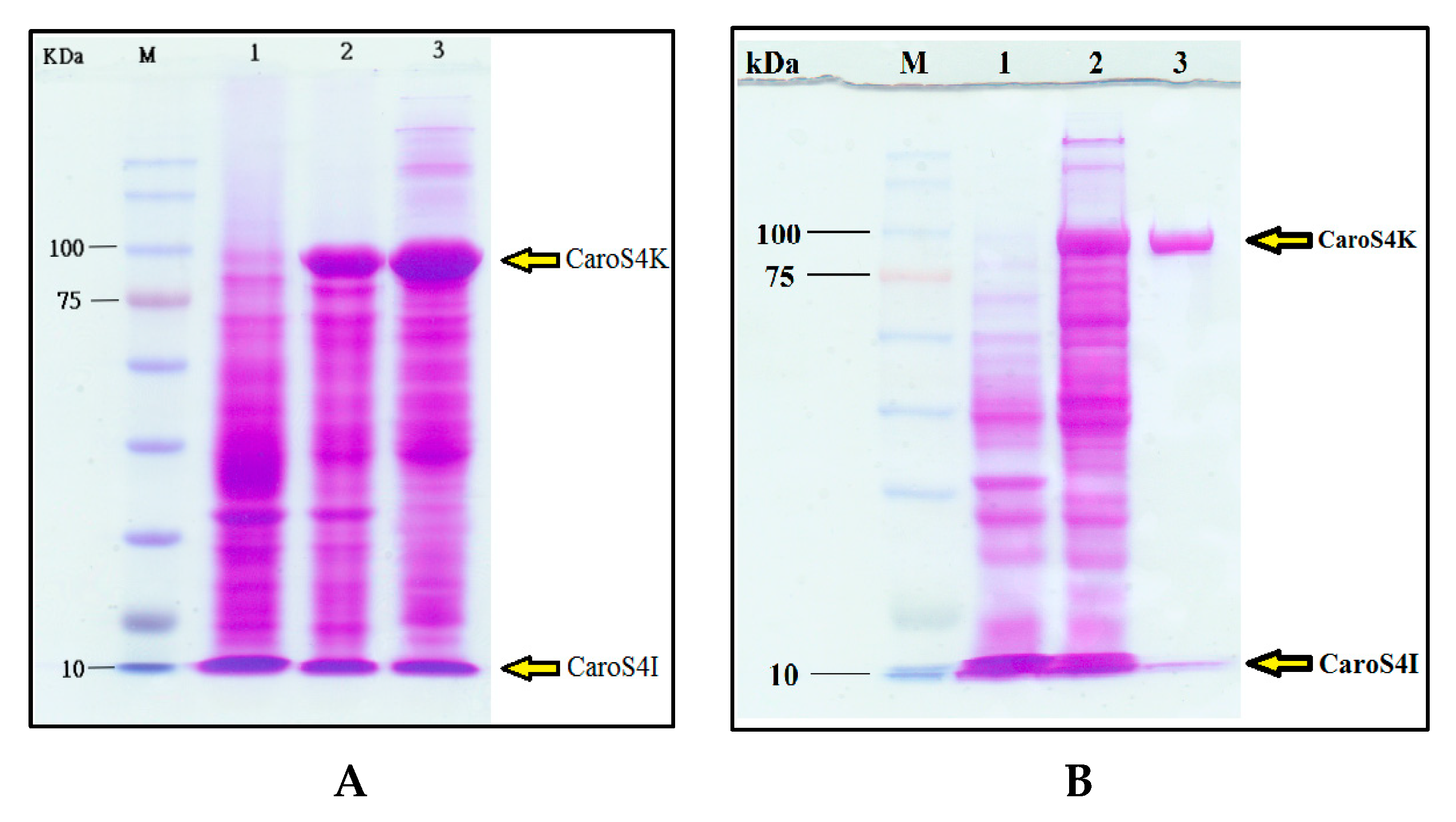 Microorganisms 11 01854 g005 Microorganisms 11 01854 g005