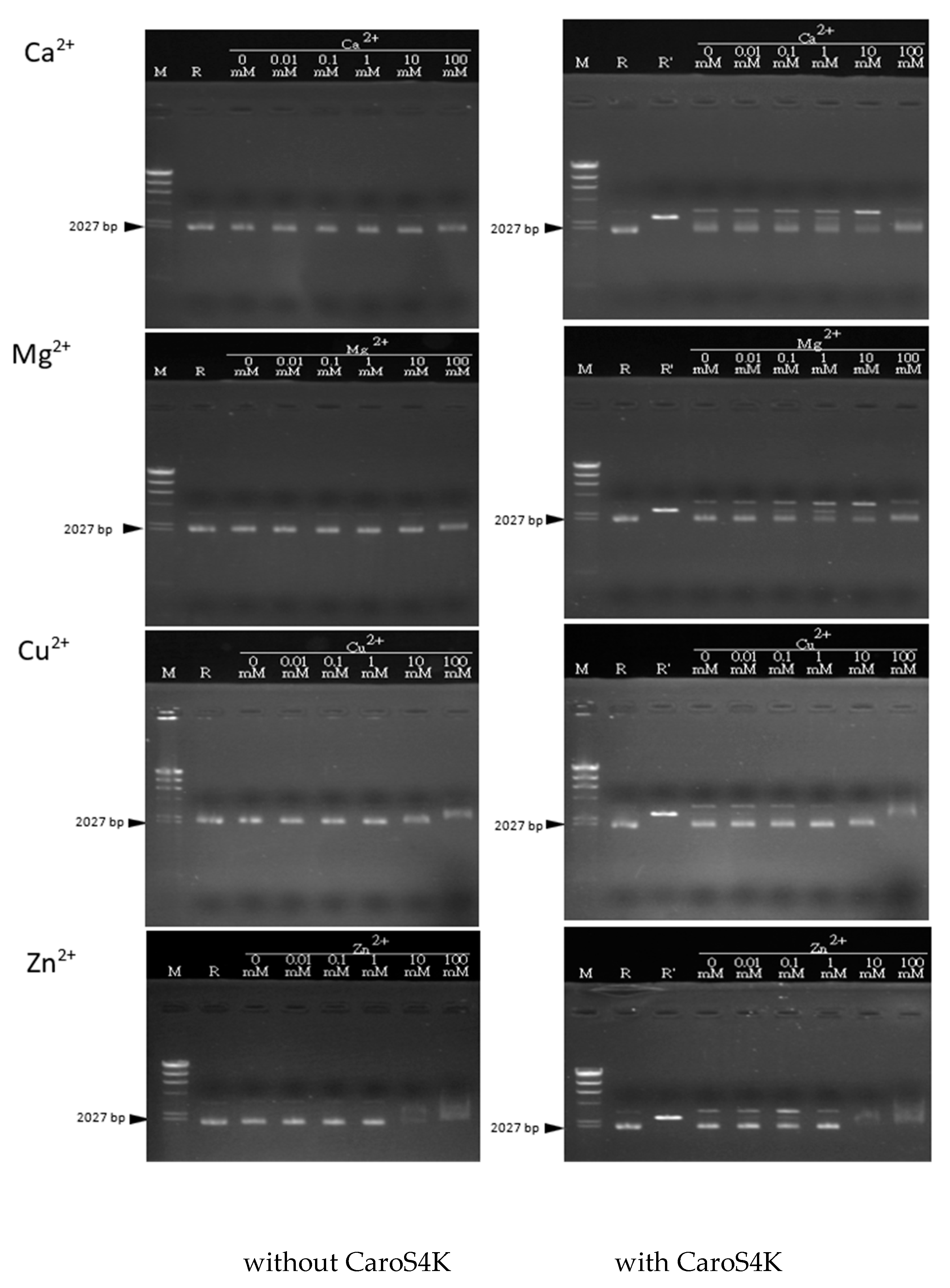 Microorganisms 11 01854 g009 Microorganisms 11 01854 g009