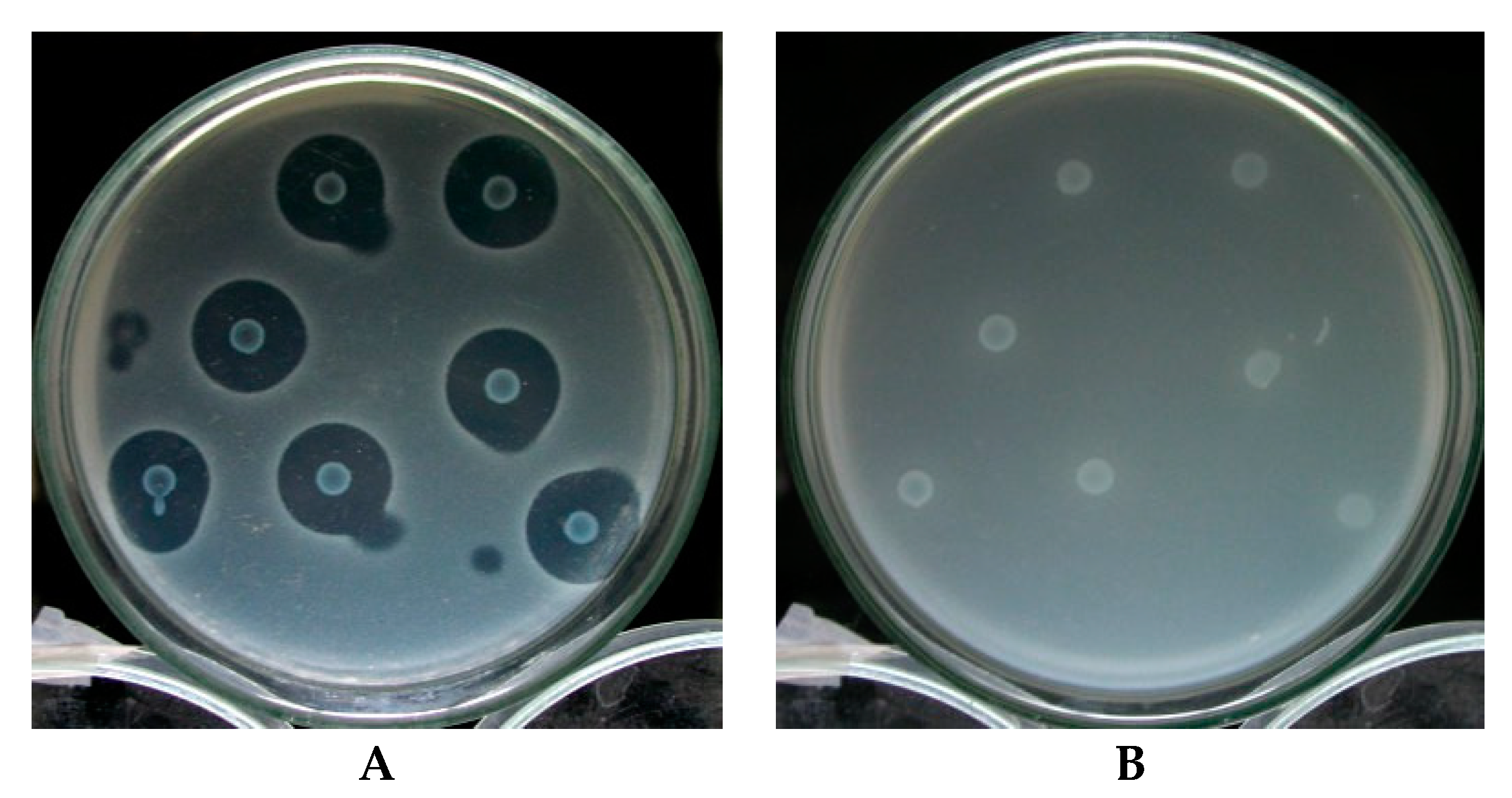 Microorganisms 11 01854 g011 Microorganisms 11 01854 g011