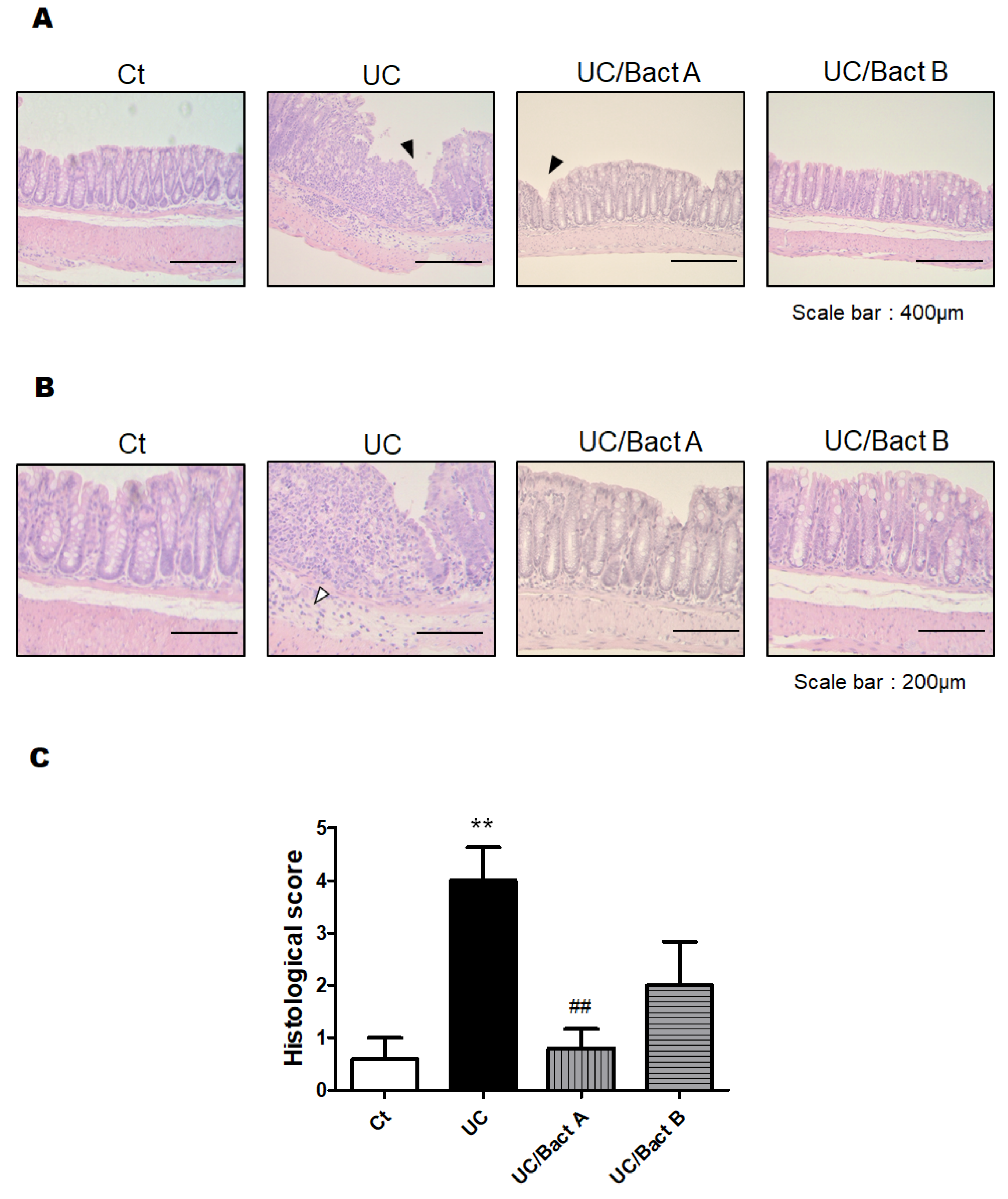 Microorganisms 11 01858 g003