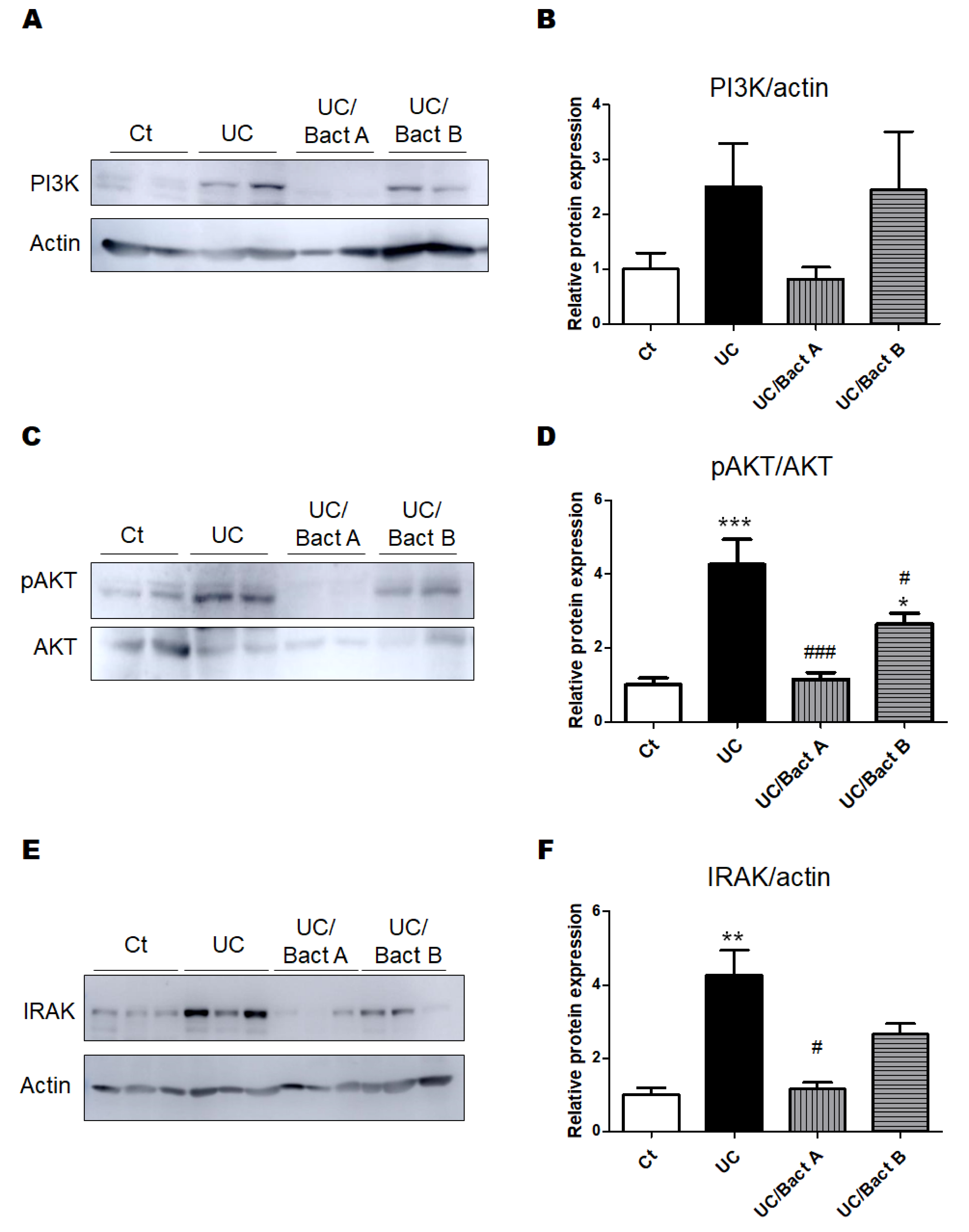 Microorganisms 11 01858 g004