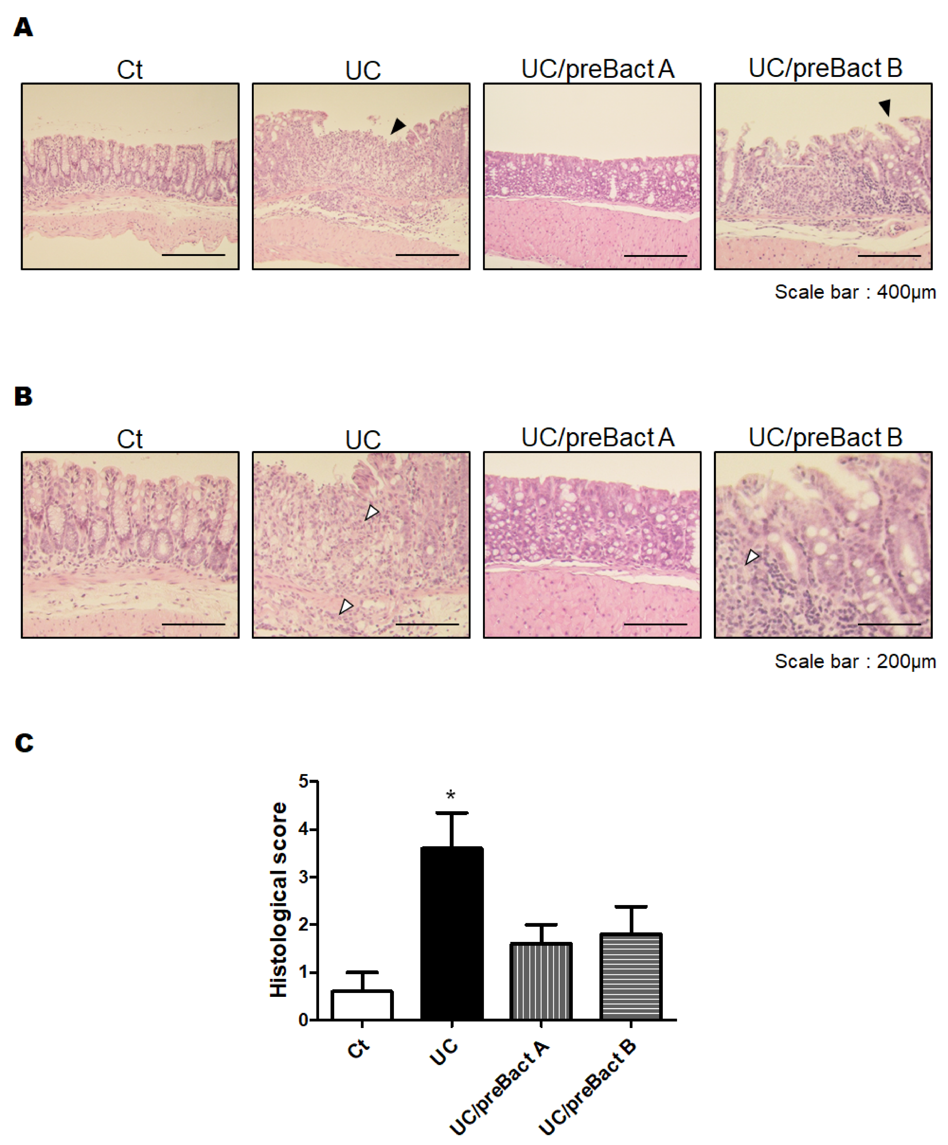 Microorganisms 11 01858 g006