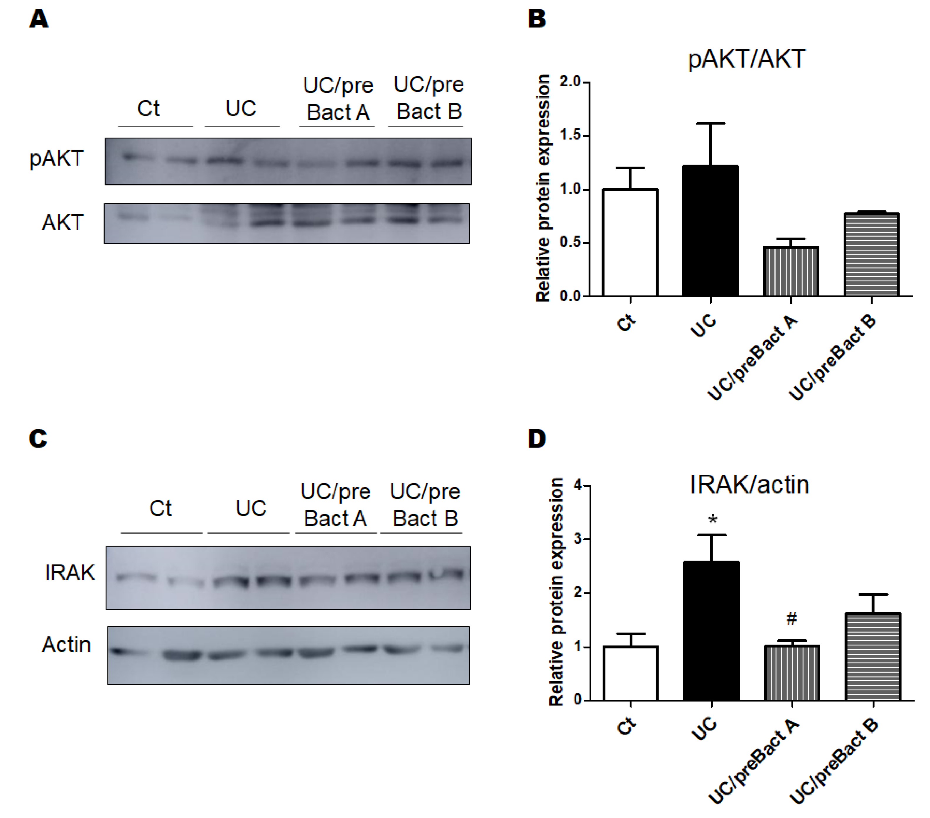 Microorganisms 11 01858 g007