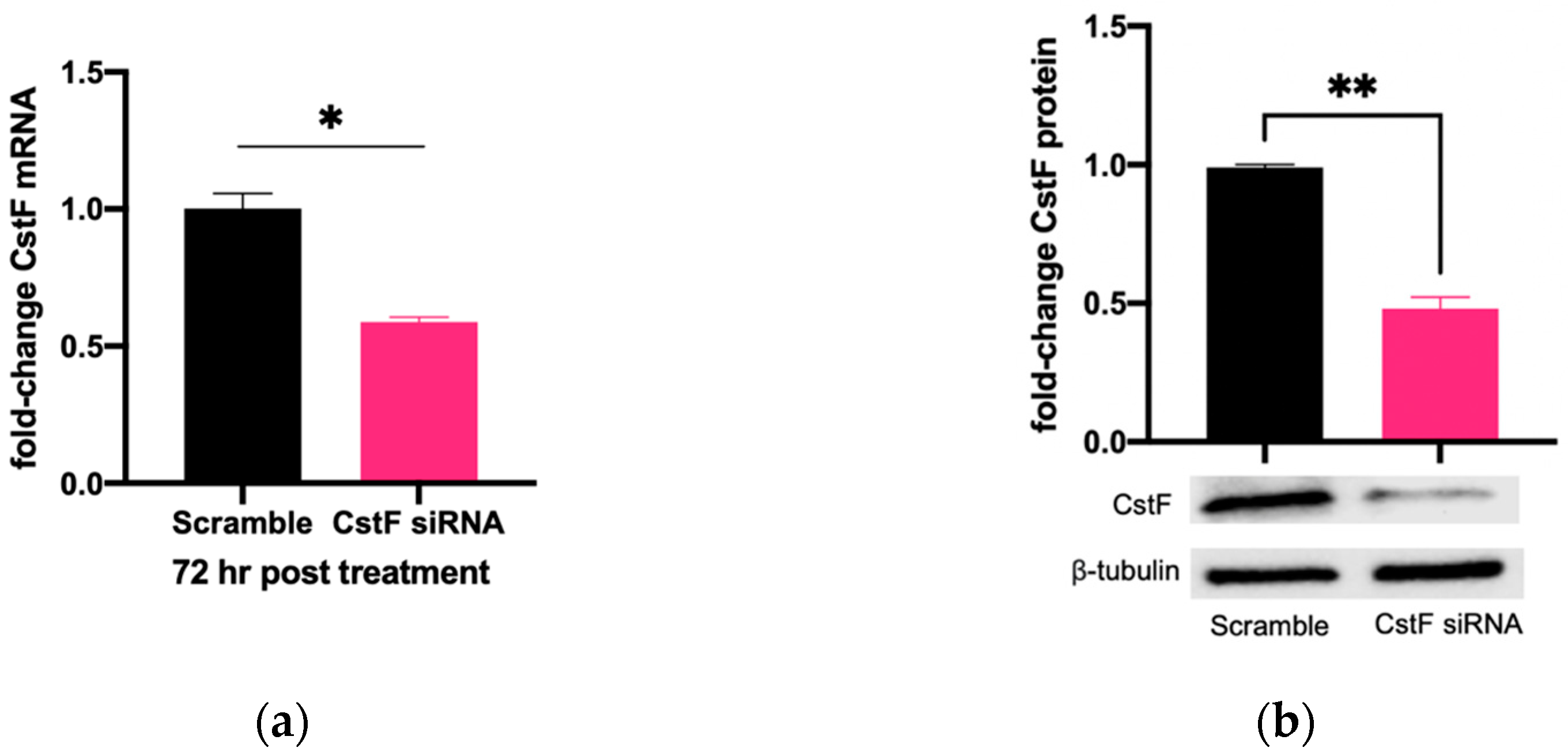 Microorganisms 11 01861 g001a