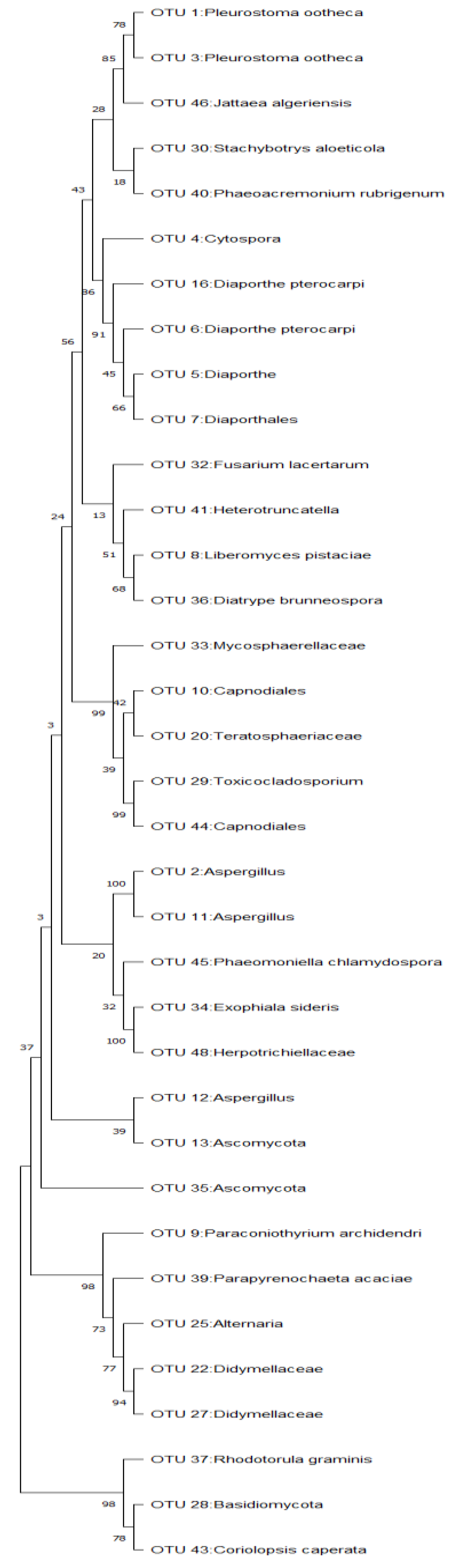 Microorganisms 11 01864 g004 Microorganisms 11 01864 g004