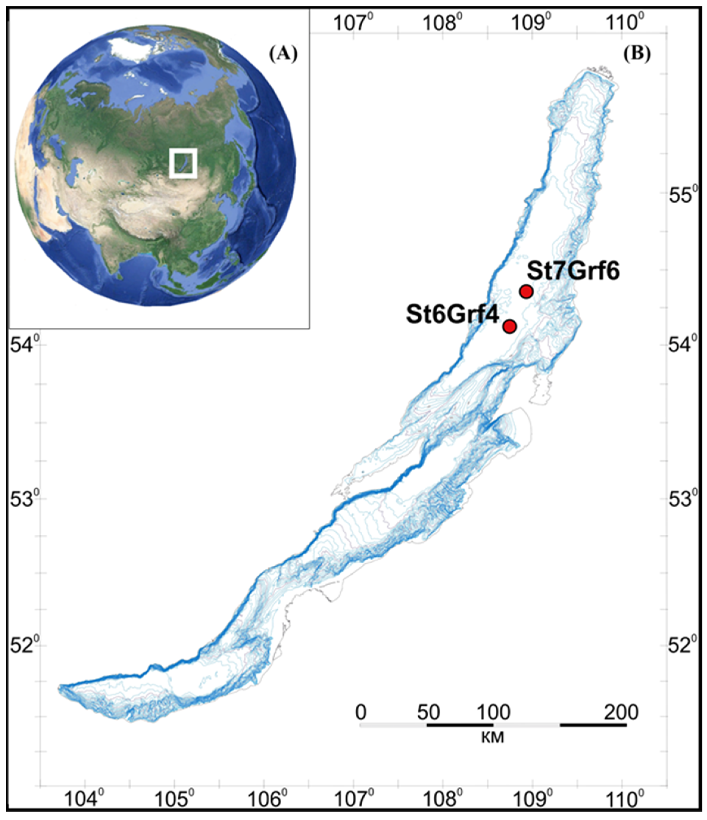 Microorganisms 11 01865 g001 Microorganisms 11 01865 g001