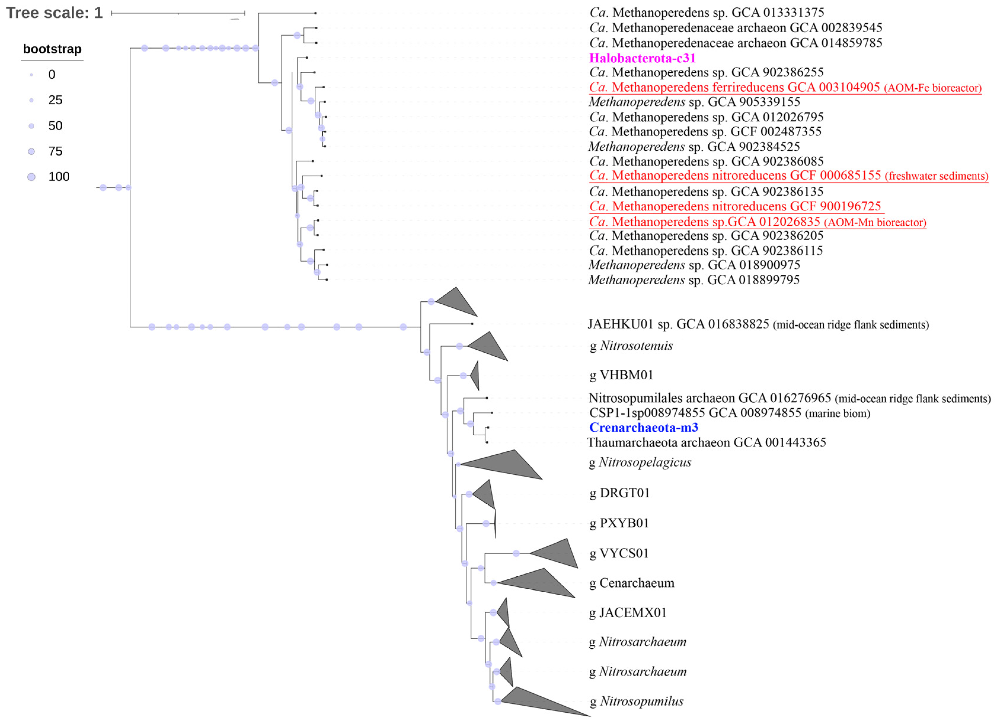 Microorganisms 11 01865 g007 Microorganisms 11 01865 g007
