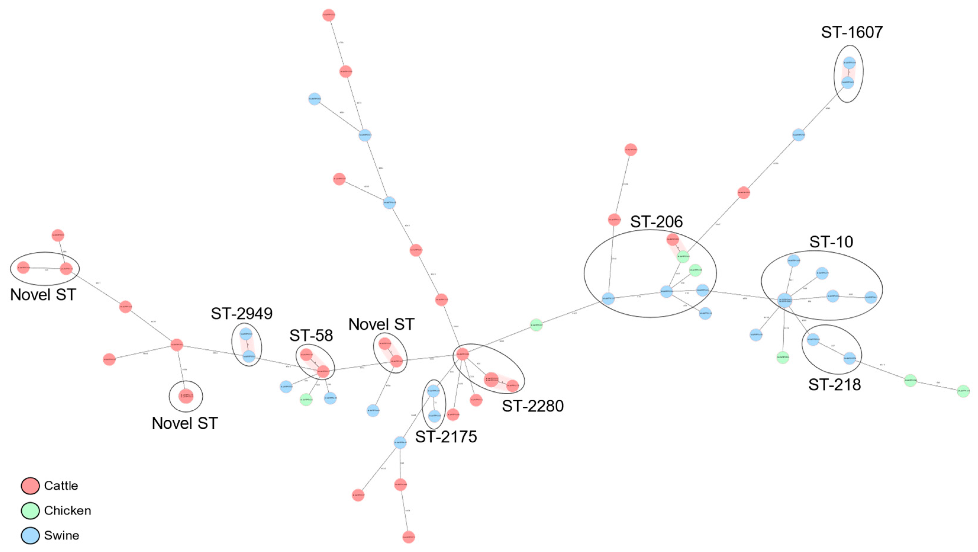 Microorganisms 11 01868 g001 Microorganisms 11 01868 g001