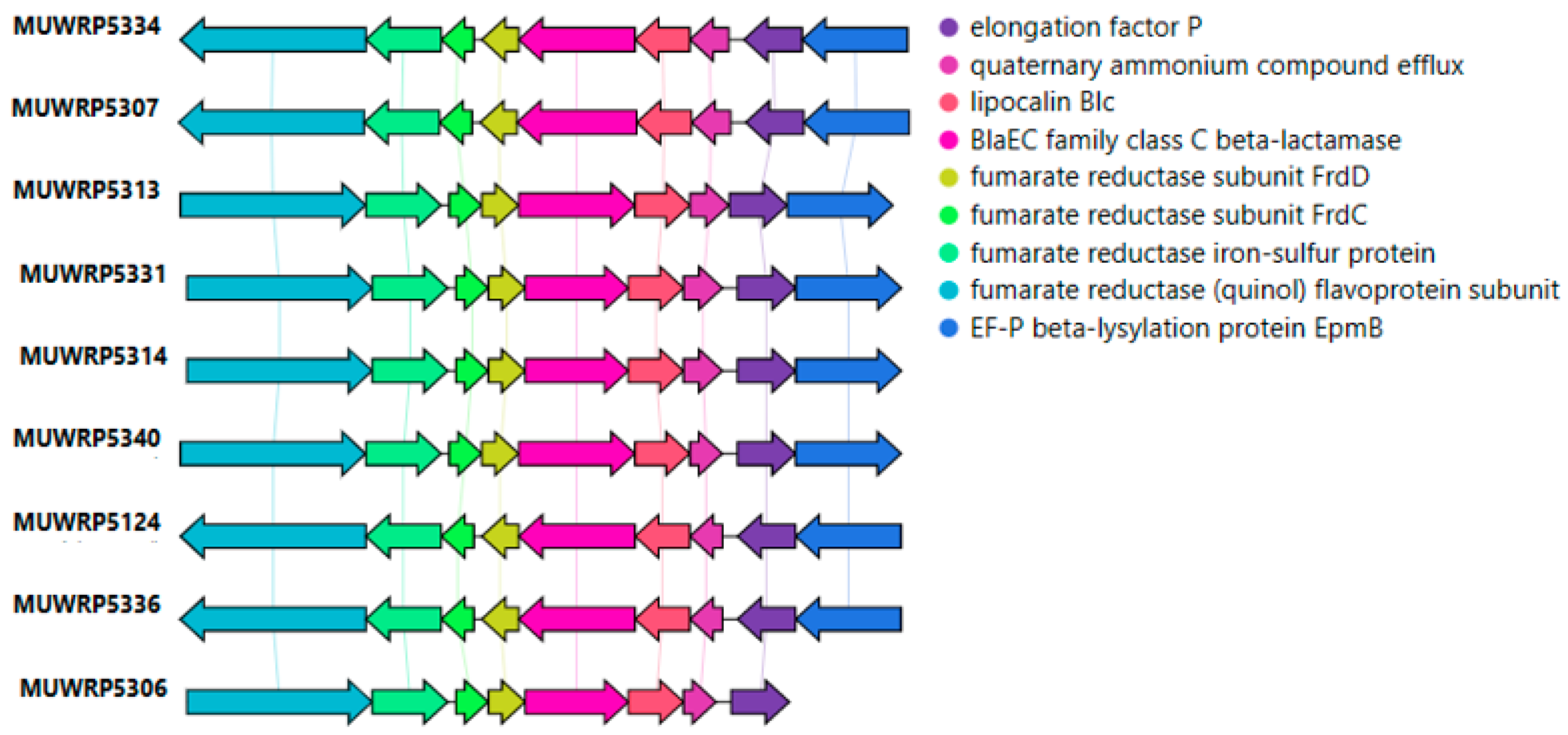Microorganisms 11 01868 g003 Microorganisms 11 01868 g003
