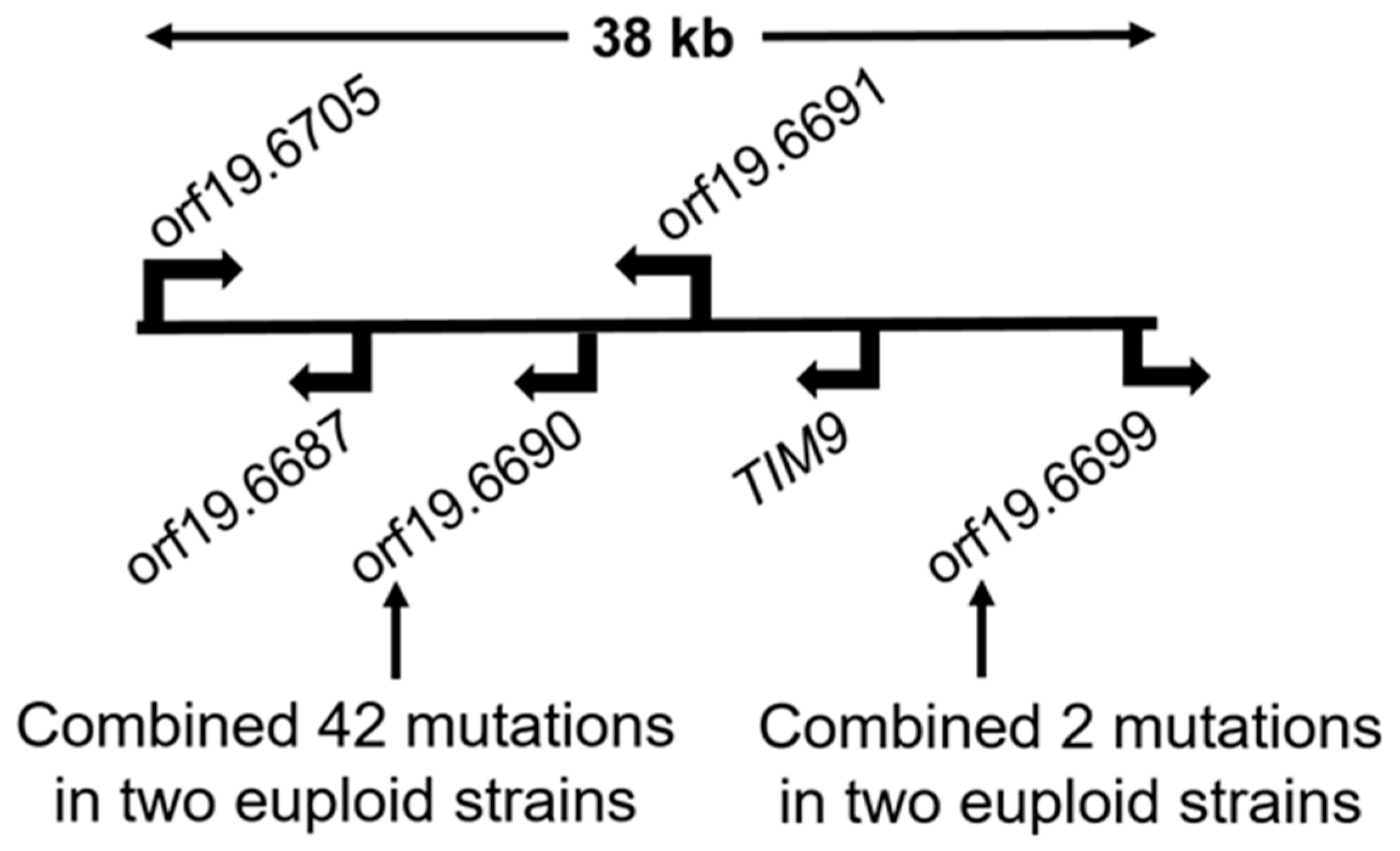 Microorganisms 11 01870 g002 Microorganisms 11 01870 g002