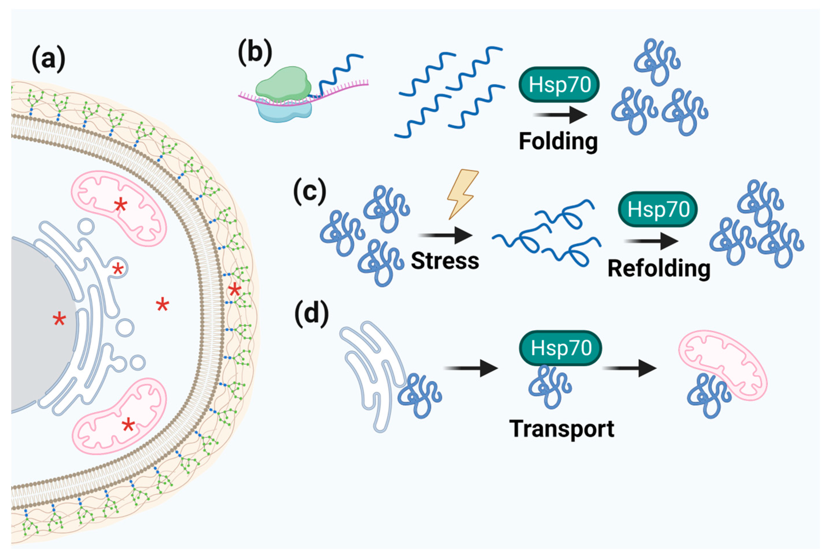 Microorganisms 11 01878 g004 Microorganisms 11 01878 g004
