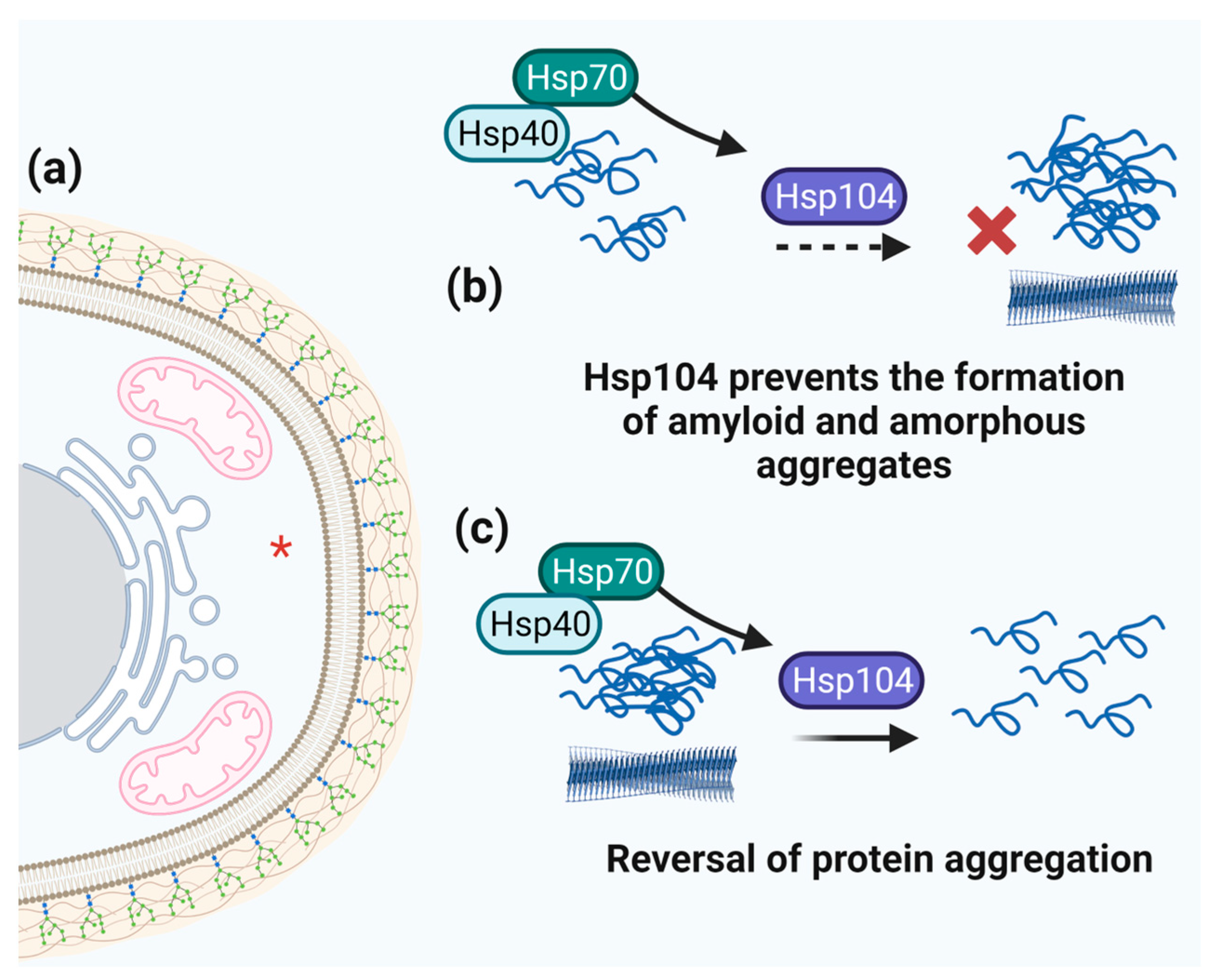 Microorganisms 11 01878 g007 Microorganisms 11 01878 g007