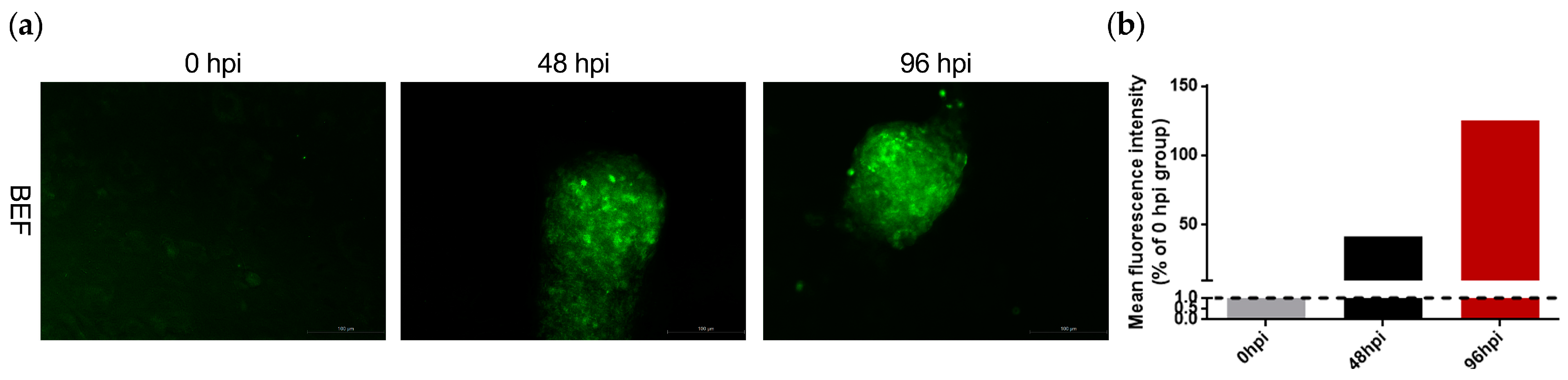 Microorganisms 11 01883 g002 Microorganisms 11 01883 g002