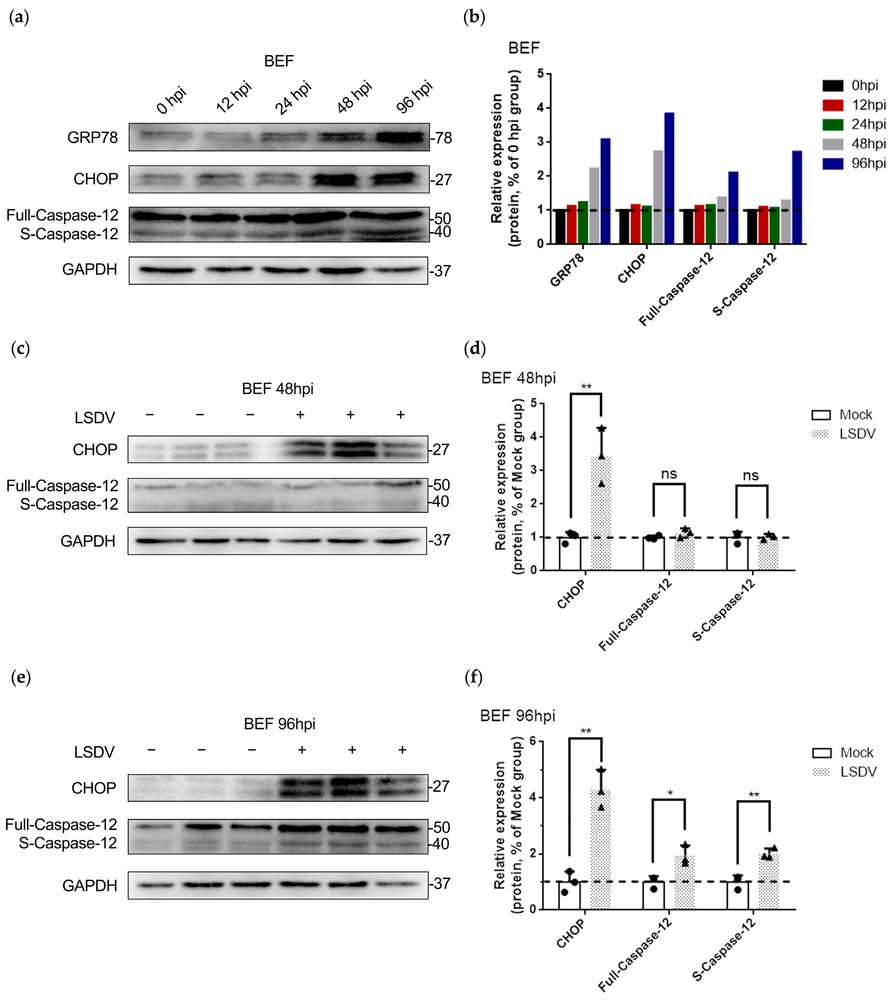 Microorganisms 11 01883 g003 Microorganisms 11 01883 g003