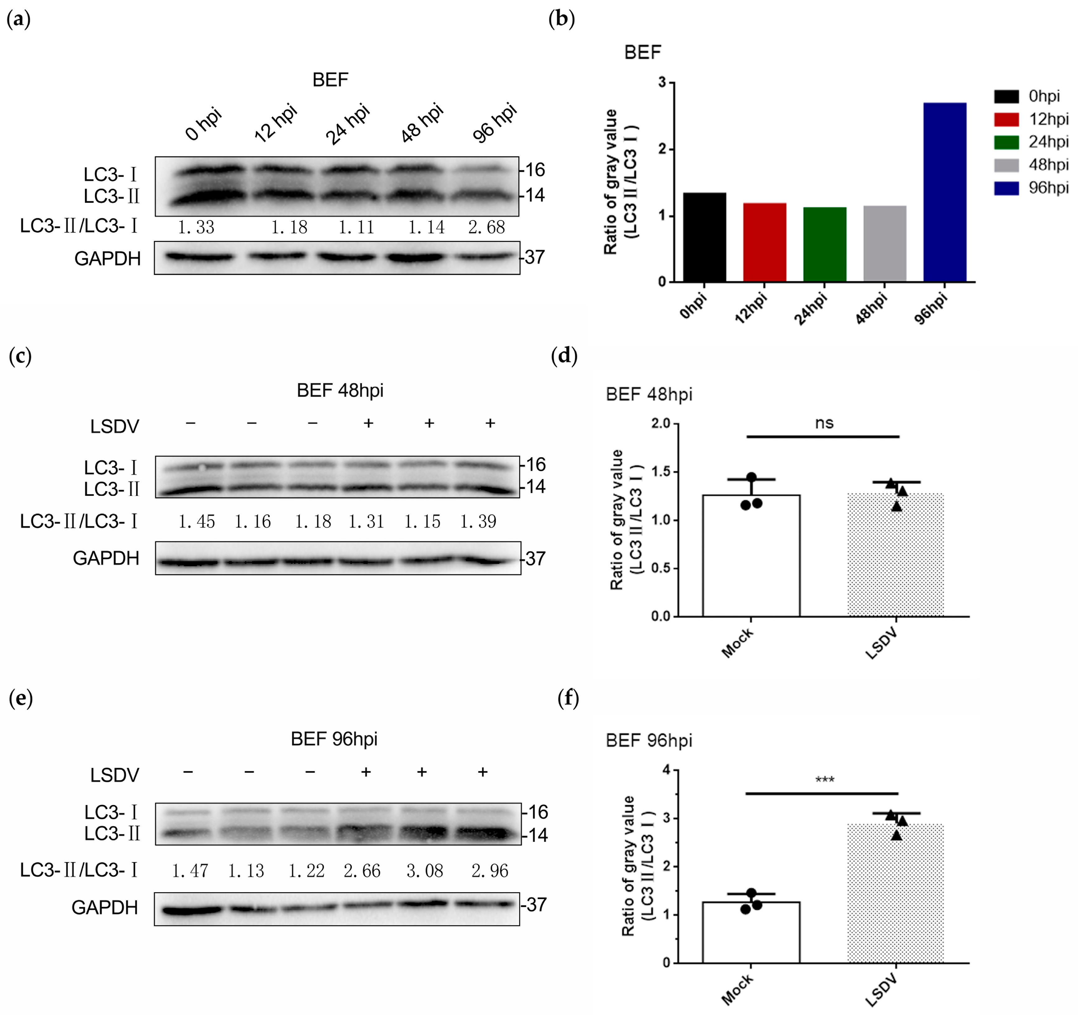 Microorganisms 11 01883 g004 Microorganisms 11 01883 g004