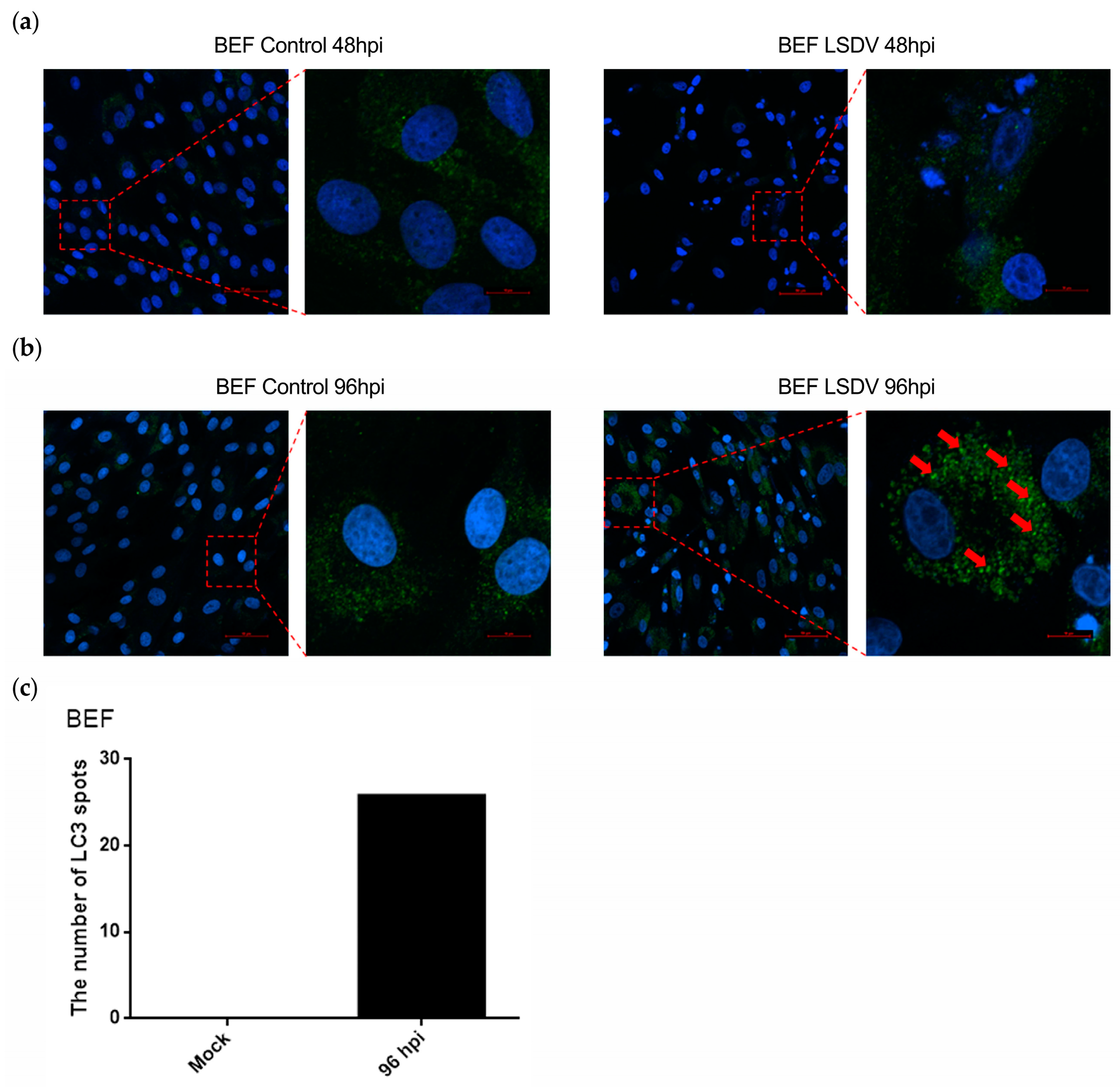 Microorganisms 11 01883 g005 Microorganisms 11 01883 g005