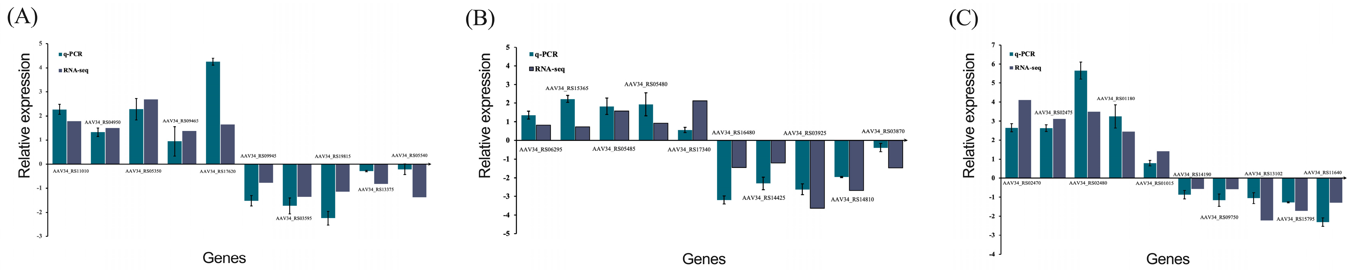 Microorganisms 11 01885 g013 Microorganisms 11 01885 g013