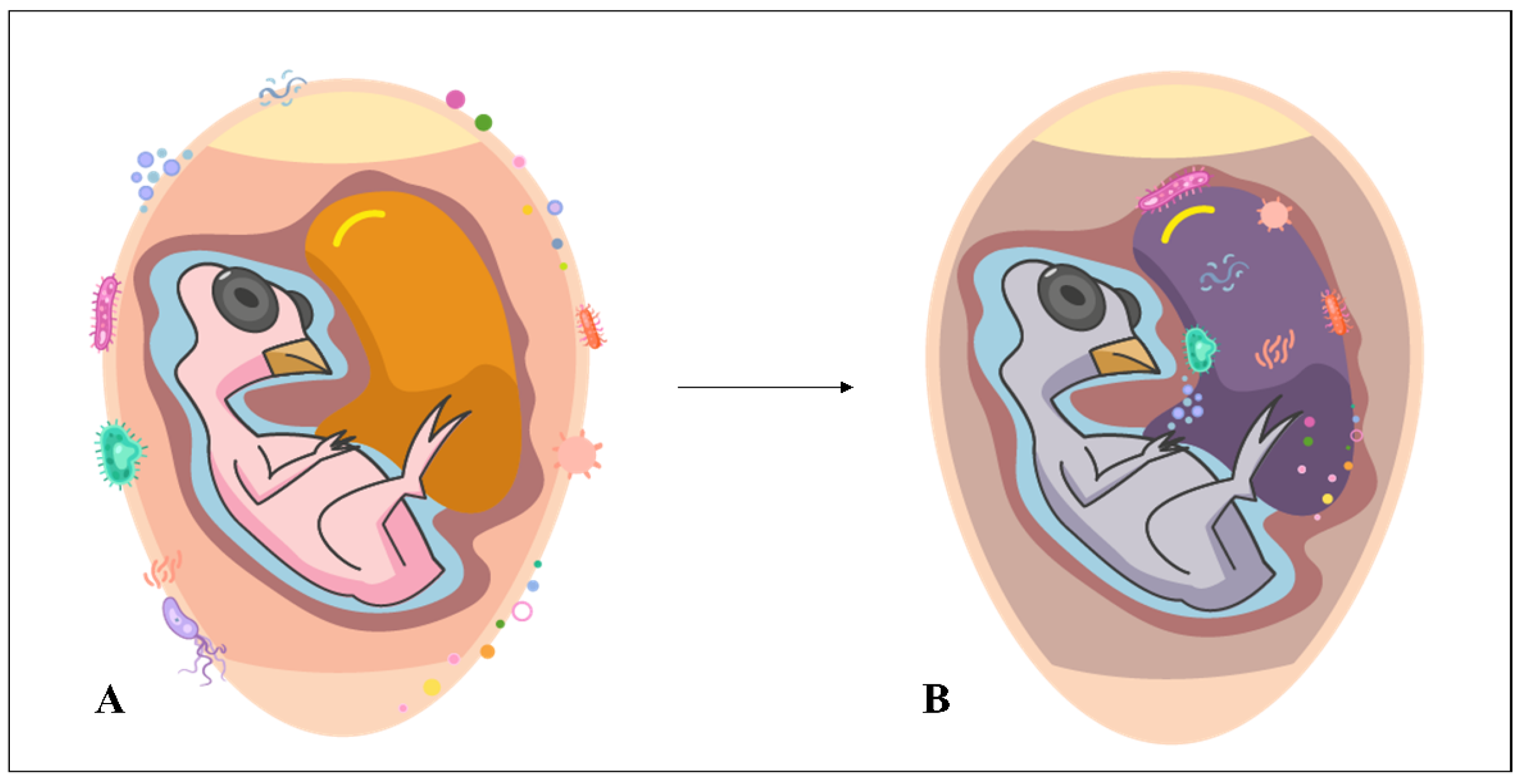 Microorganisms 11 01890 g003 Microorganisms 11 01890 g003
