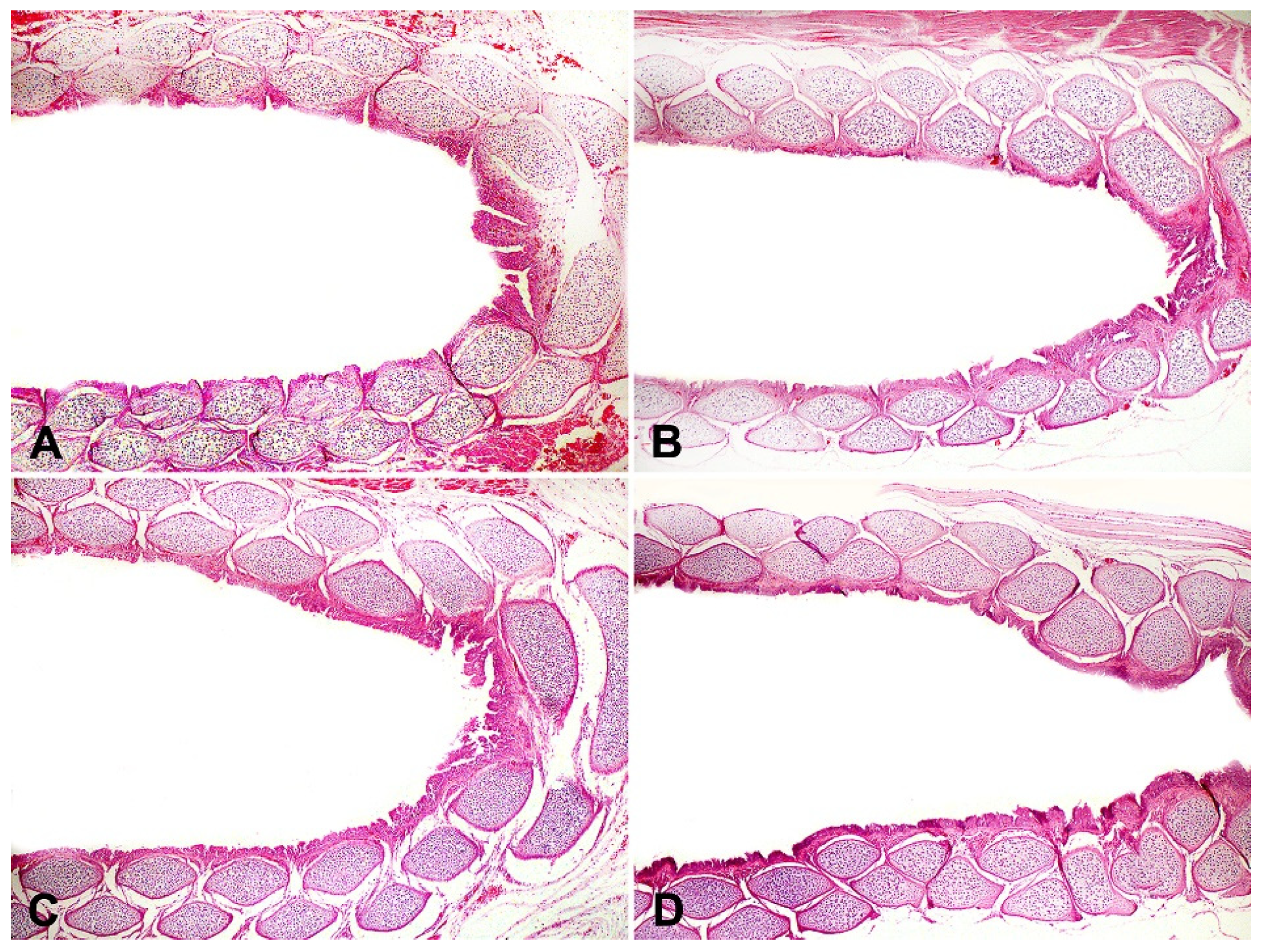 Microorganisms 11 01890 g004 Microorganisms 11 01890 g004