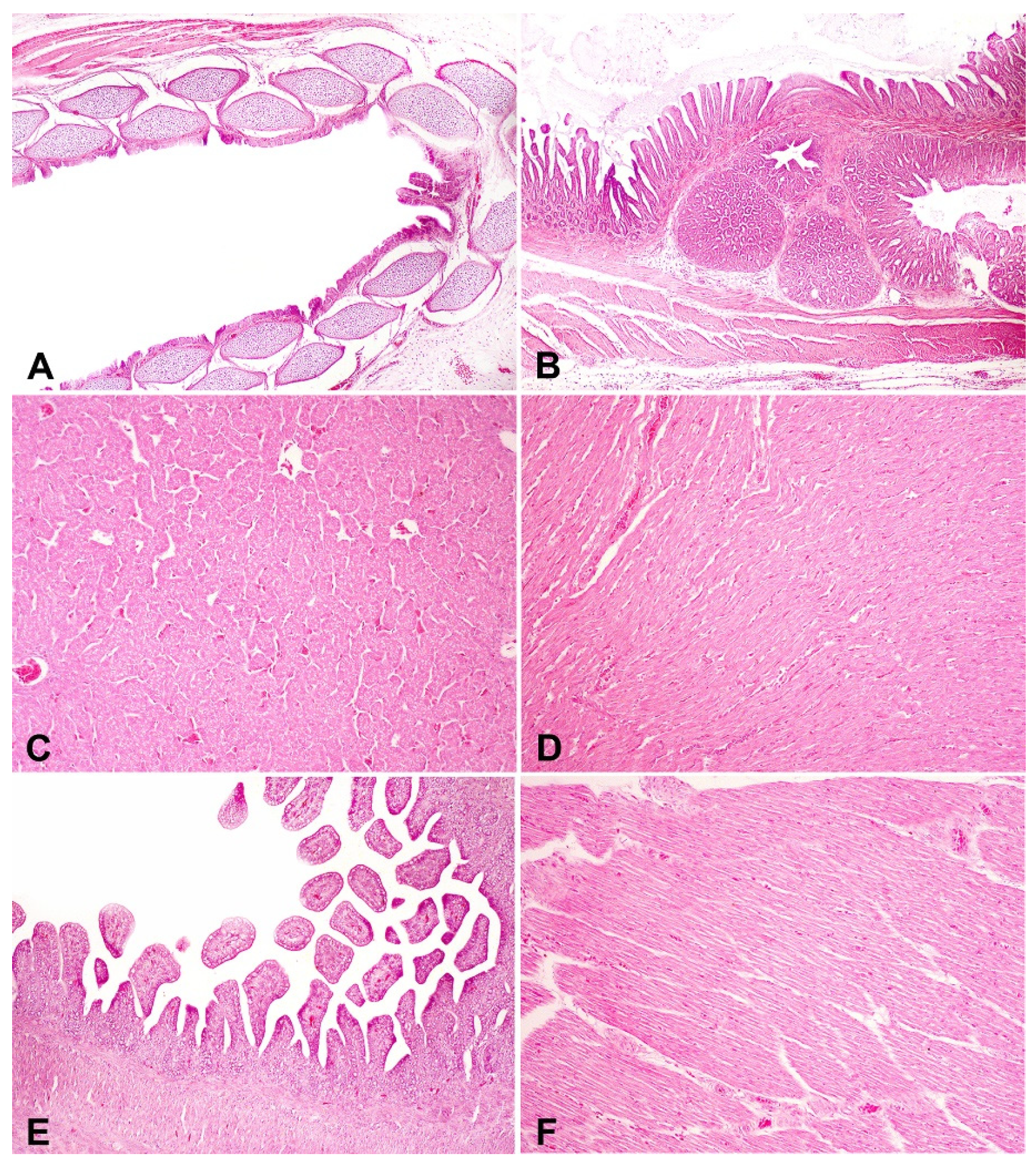 Microorganisms 11 01890 g005 Microorganisms 11 01890 g005