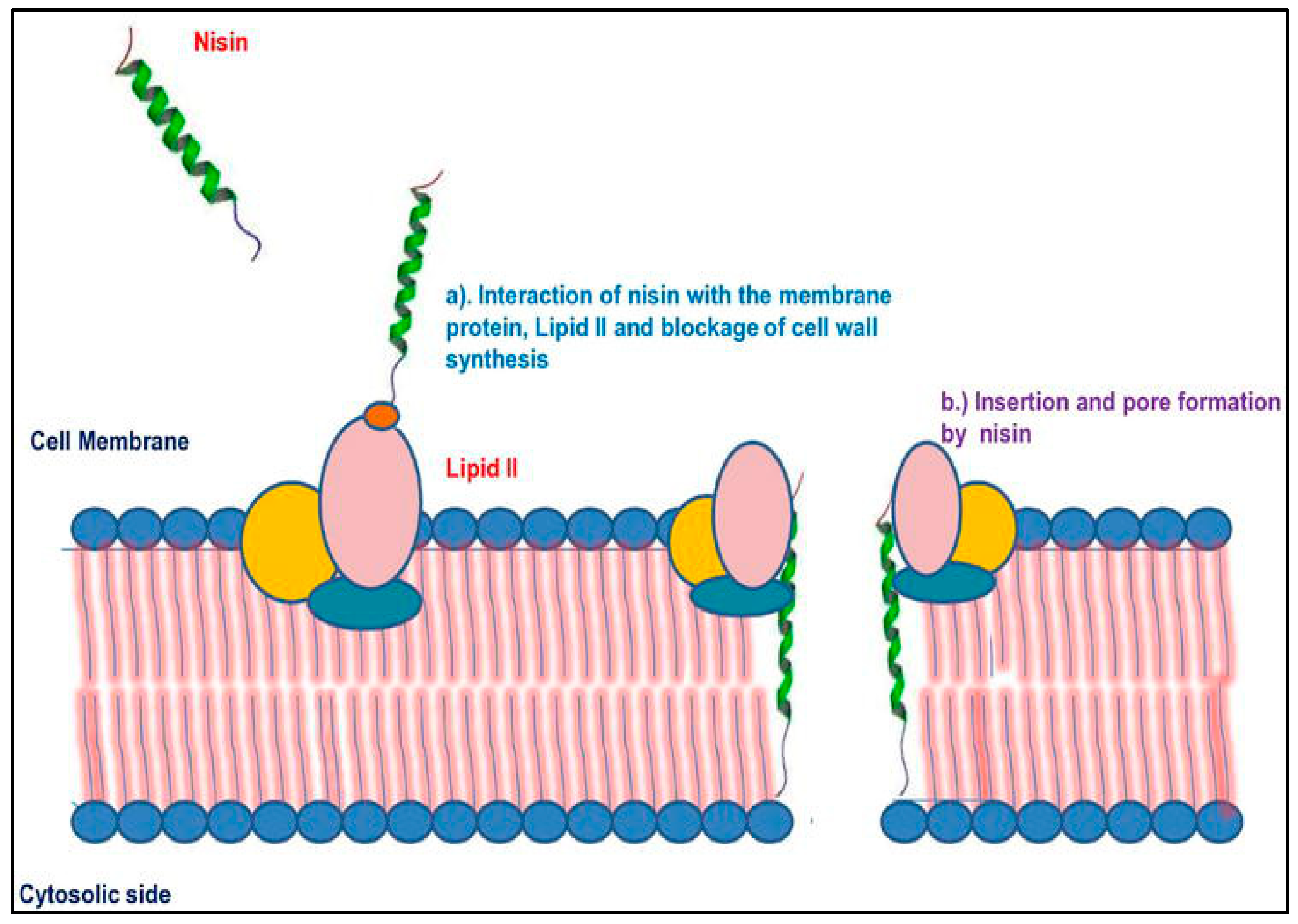 Microorganisms 11 01896 g001
