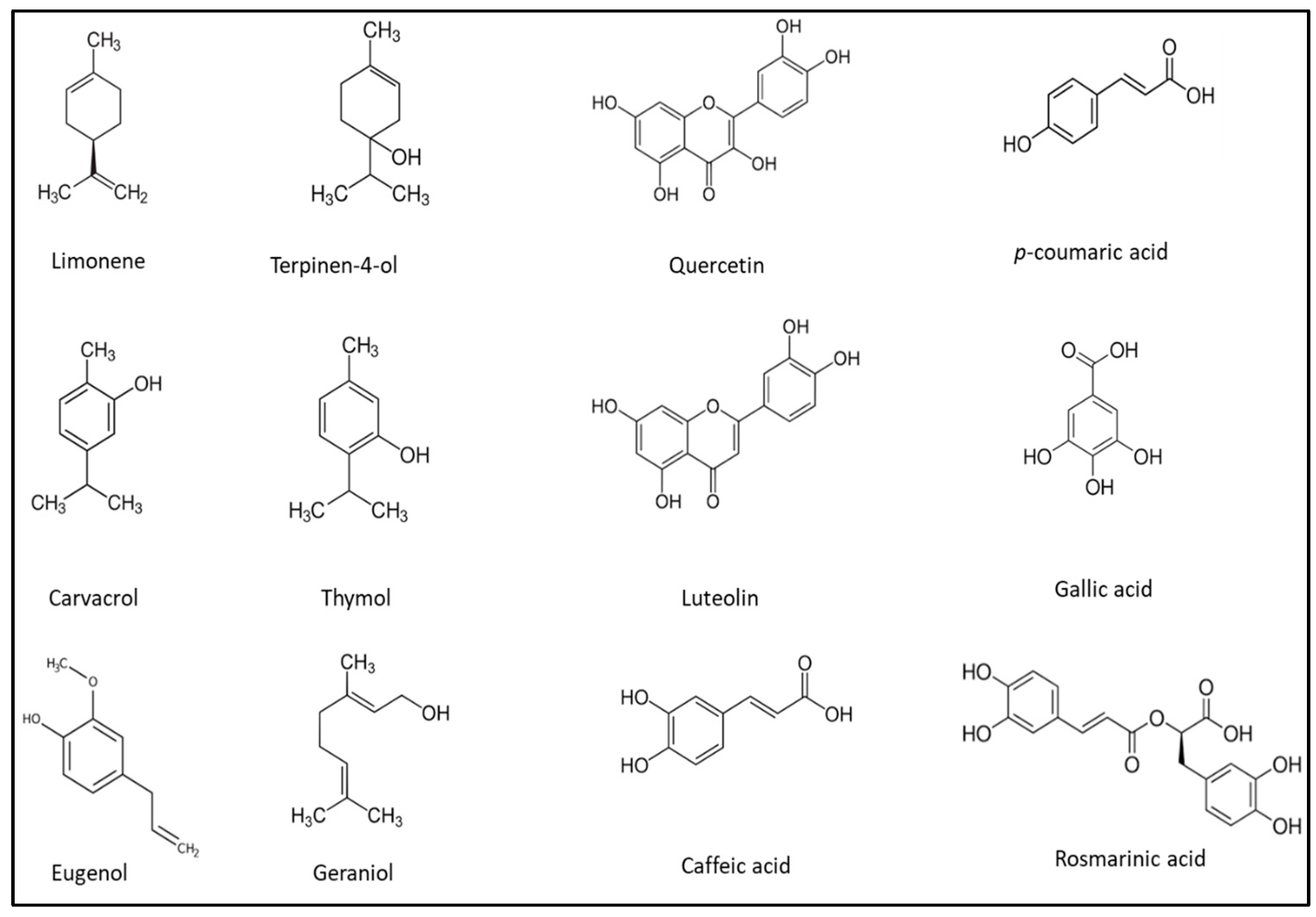 Microorganisms 11 01896 g002