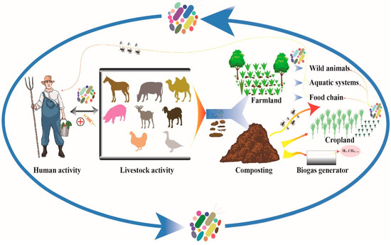 Microorganisms | Free Full-Text | Microbial Risks Caused by Livestock  Excrement: Current Research Status and Prospects