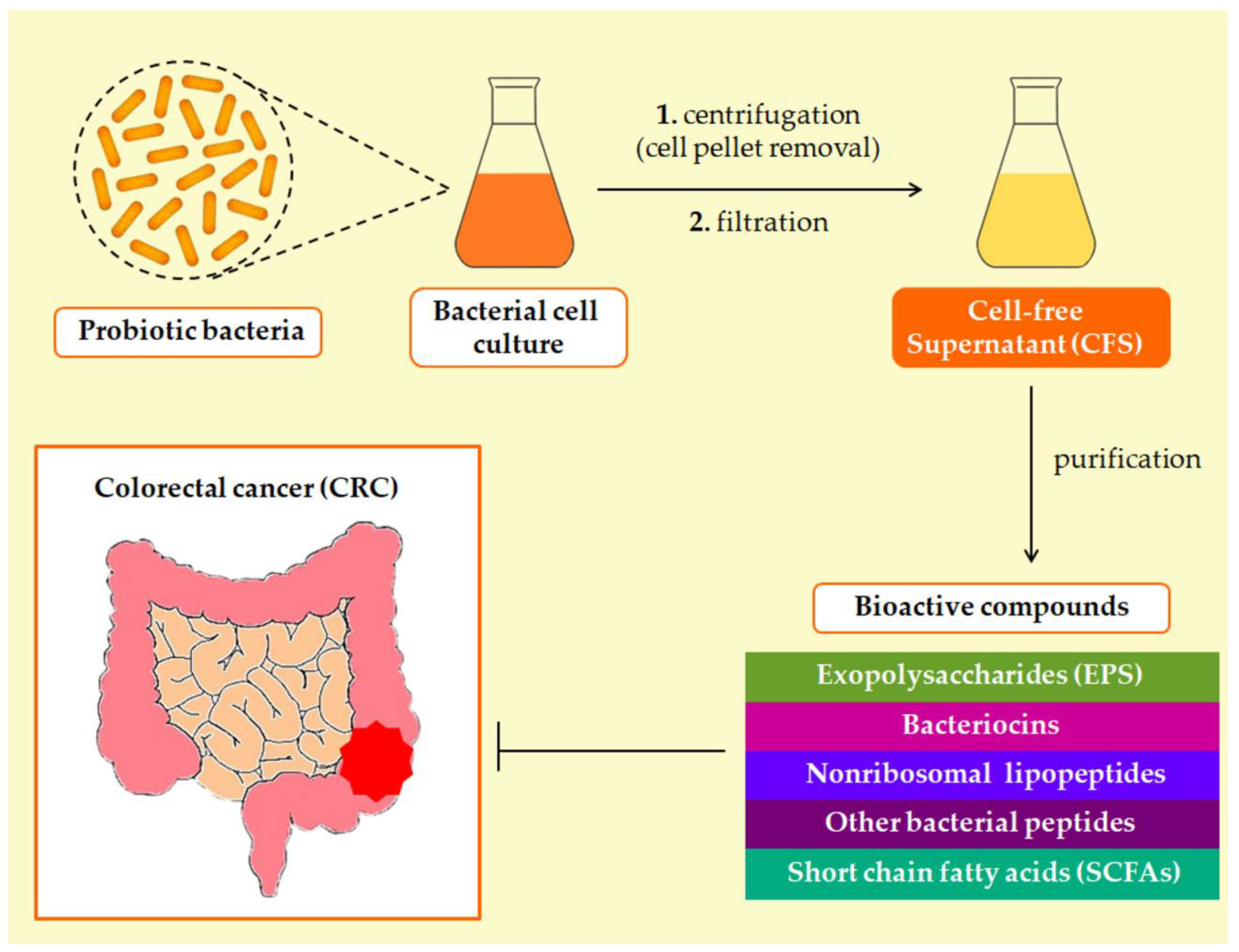 Microorganisms 11 01898 g001