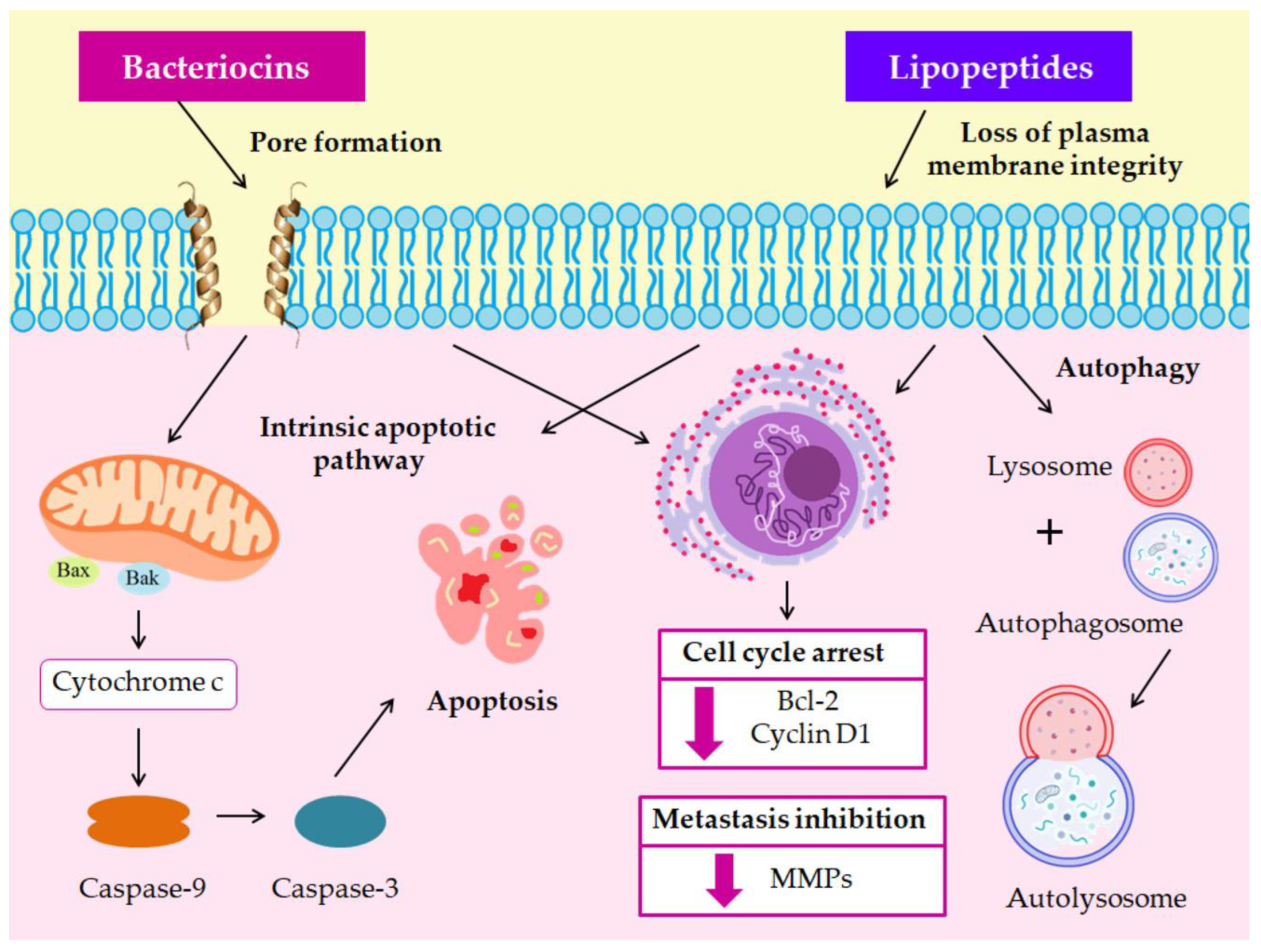 Microorganisms 11 01898 g002