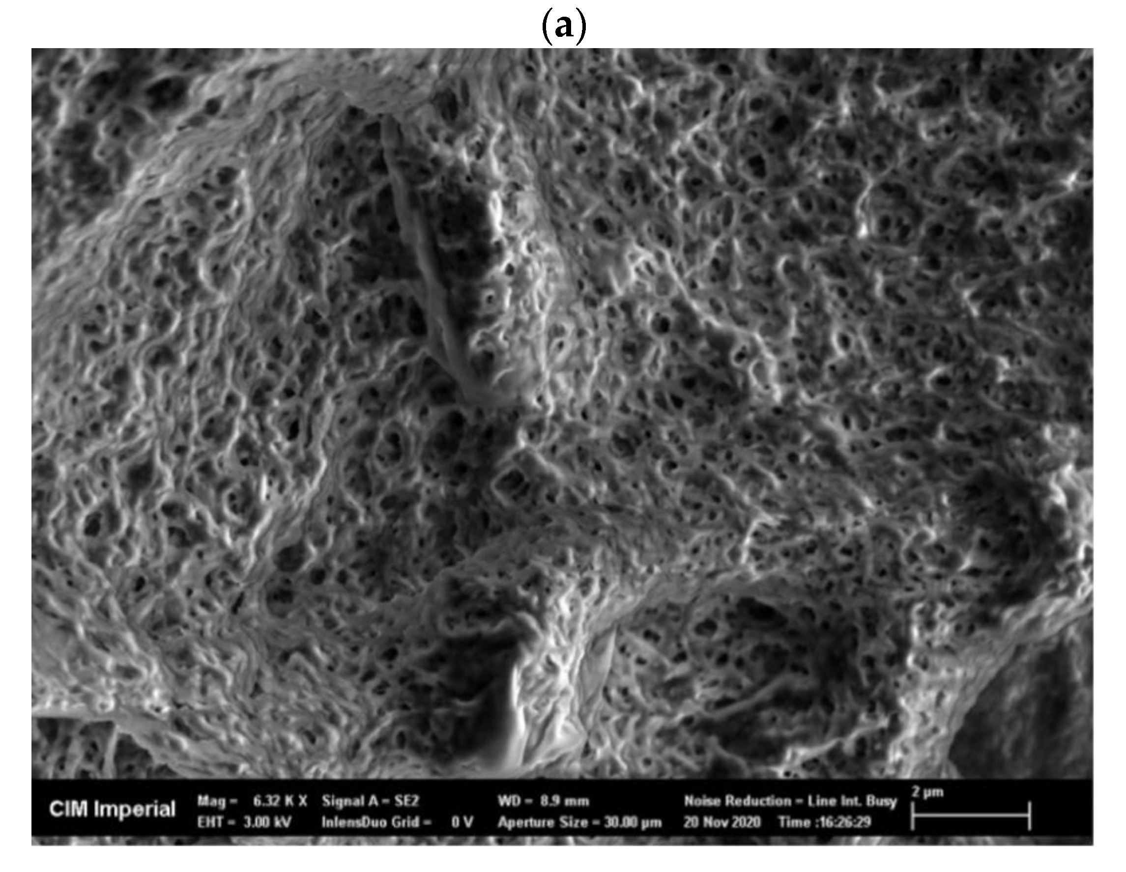 Microorganisms 11 01902 g0a2a
