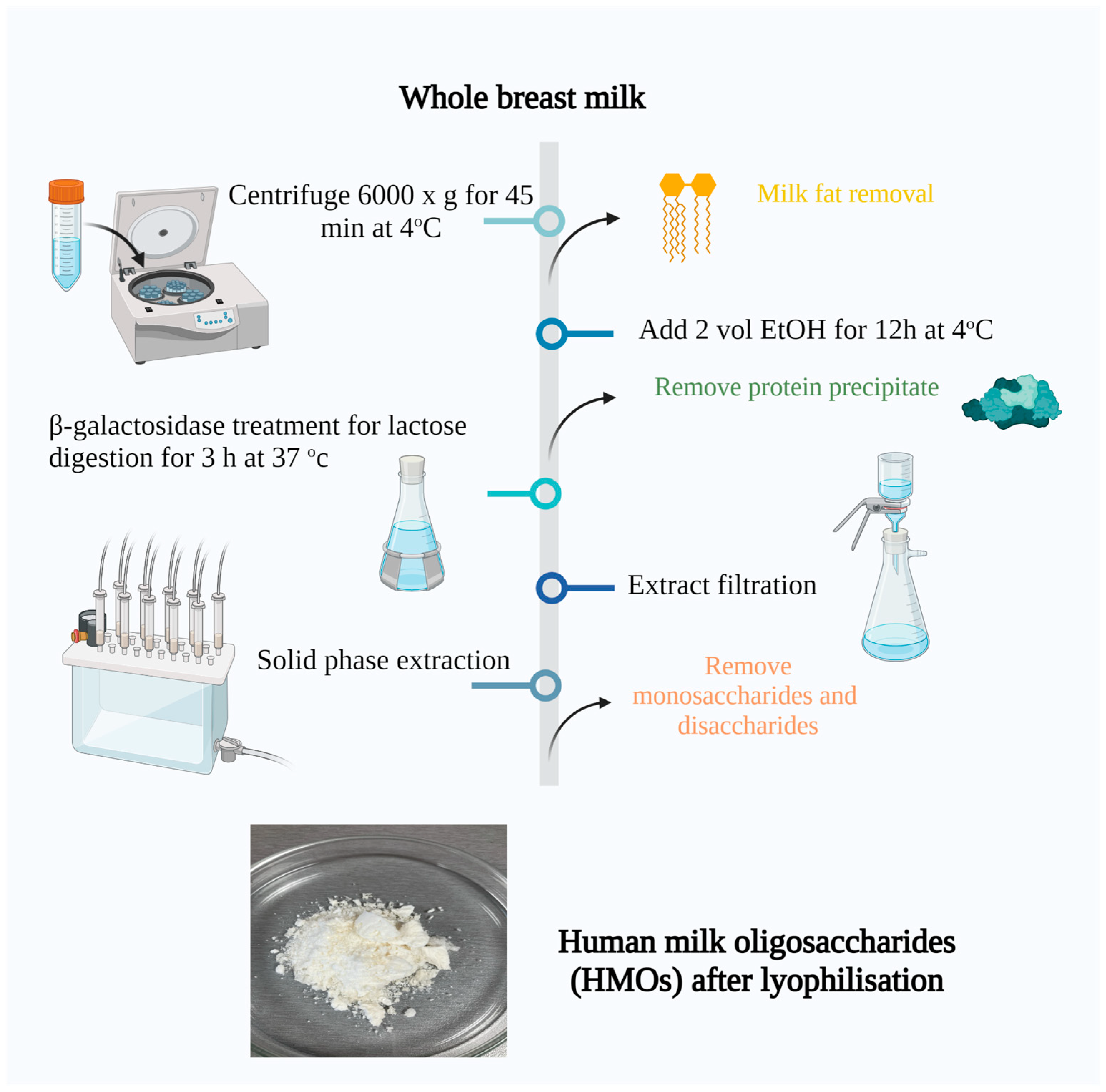 Microorganisms 11 01904 g001