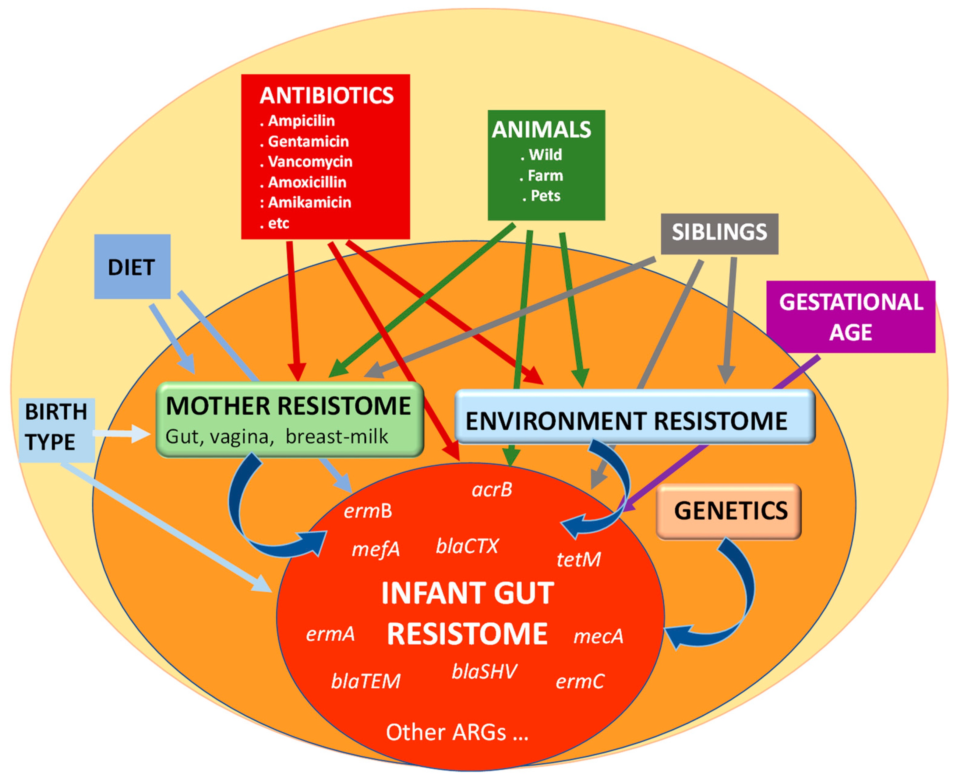 Microorganisms 11 01907 g001 Microorganisms 11 01907 g001