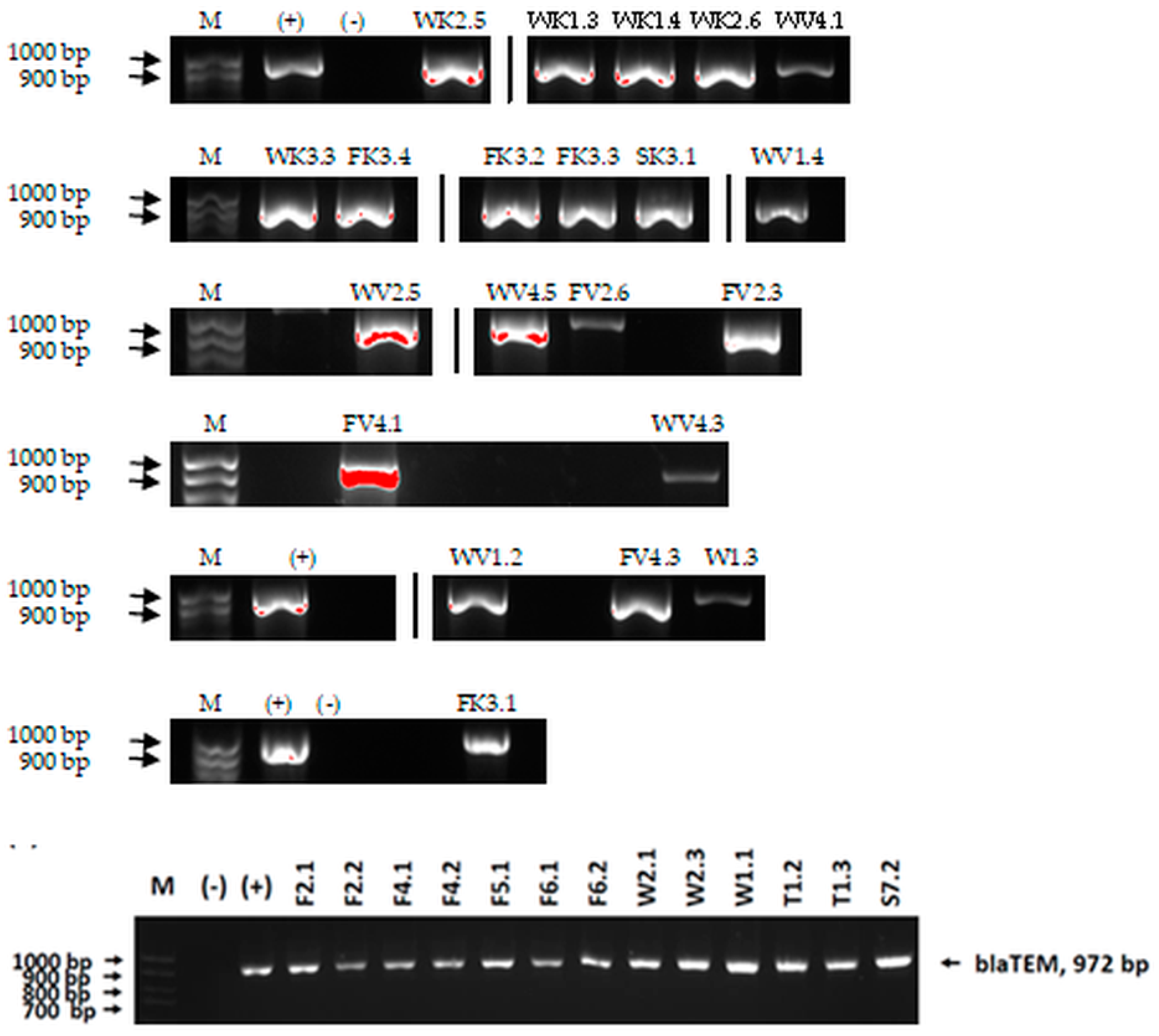 Microorganisms 11 01909 g001